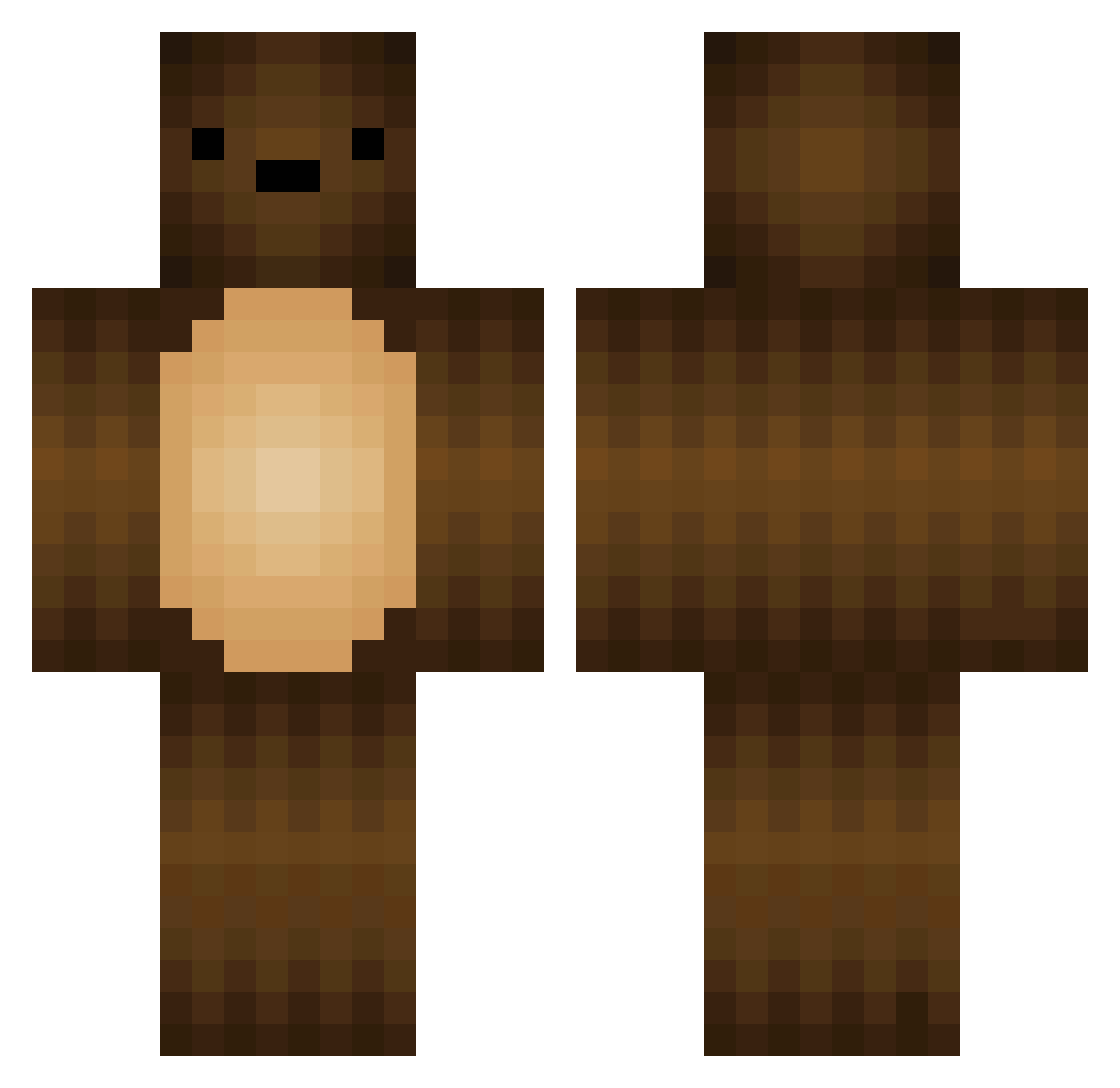 t41pl Minecraft skin, front and back view