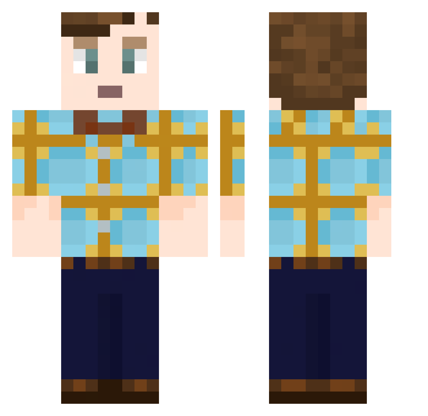 VVanden Minecraft skin, front and back view