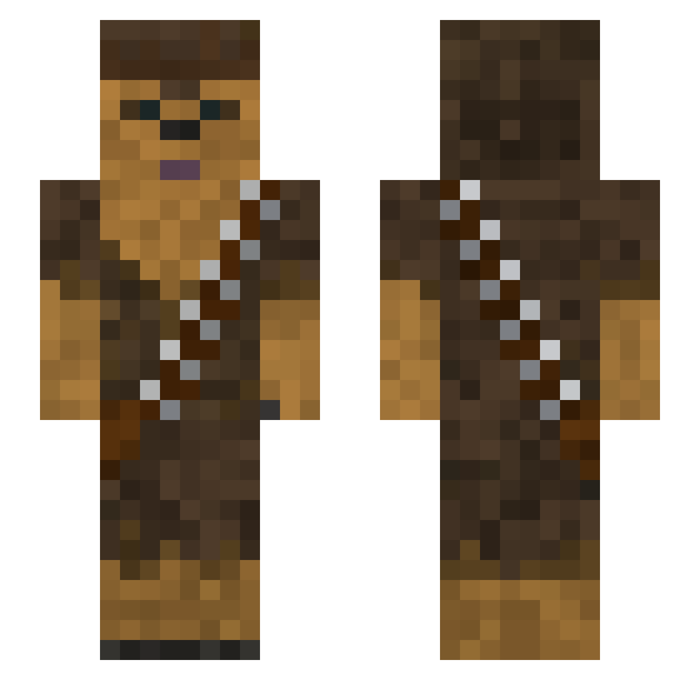 Joelvank Minecraft skin, front and back view