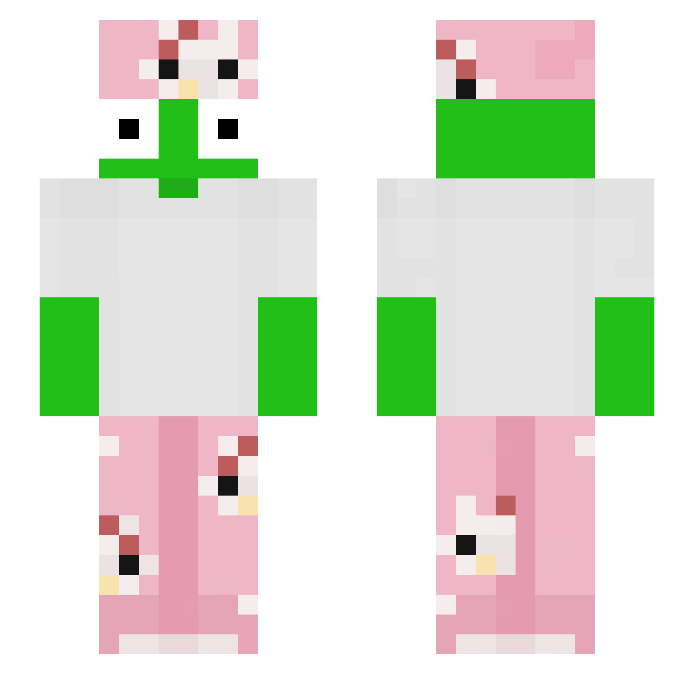 Aknyh Minecraft skin, front and back view