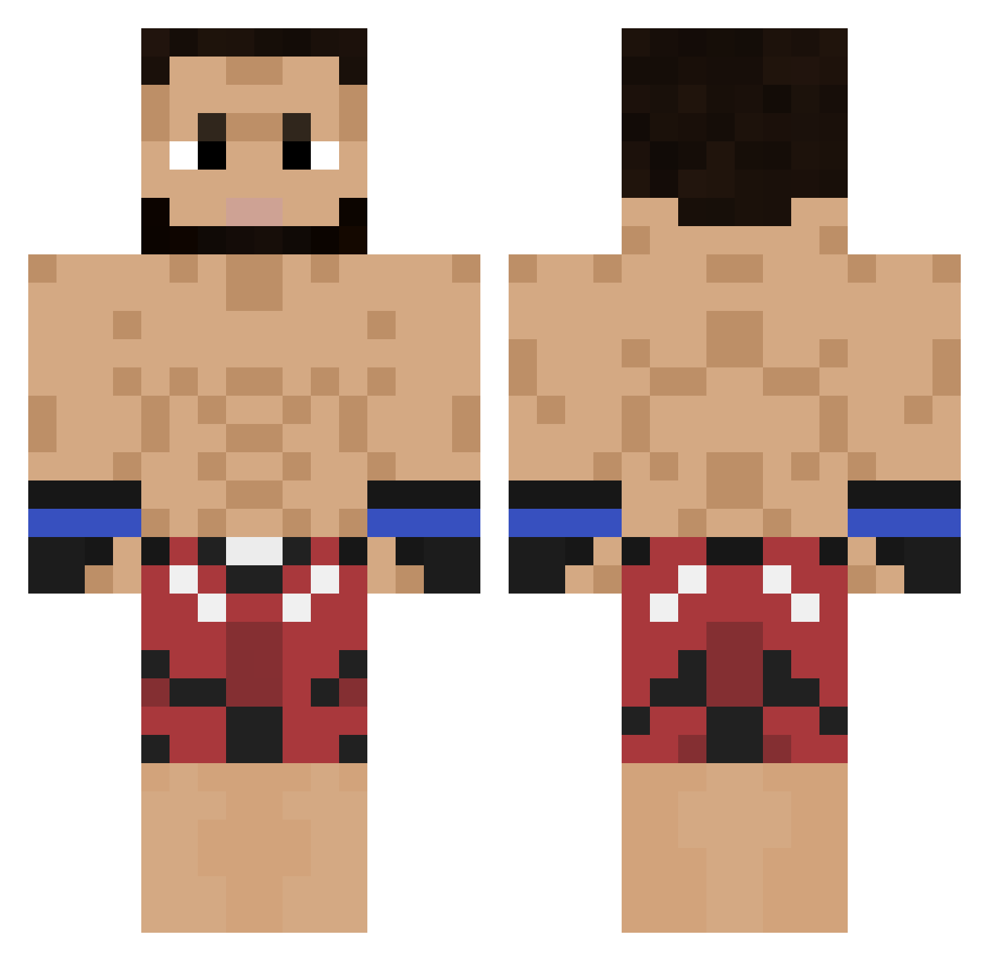 Seatbelts - ufc Minecraft skin