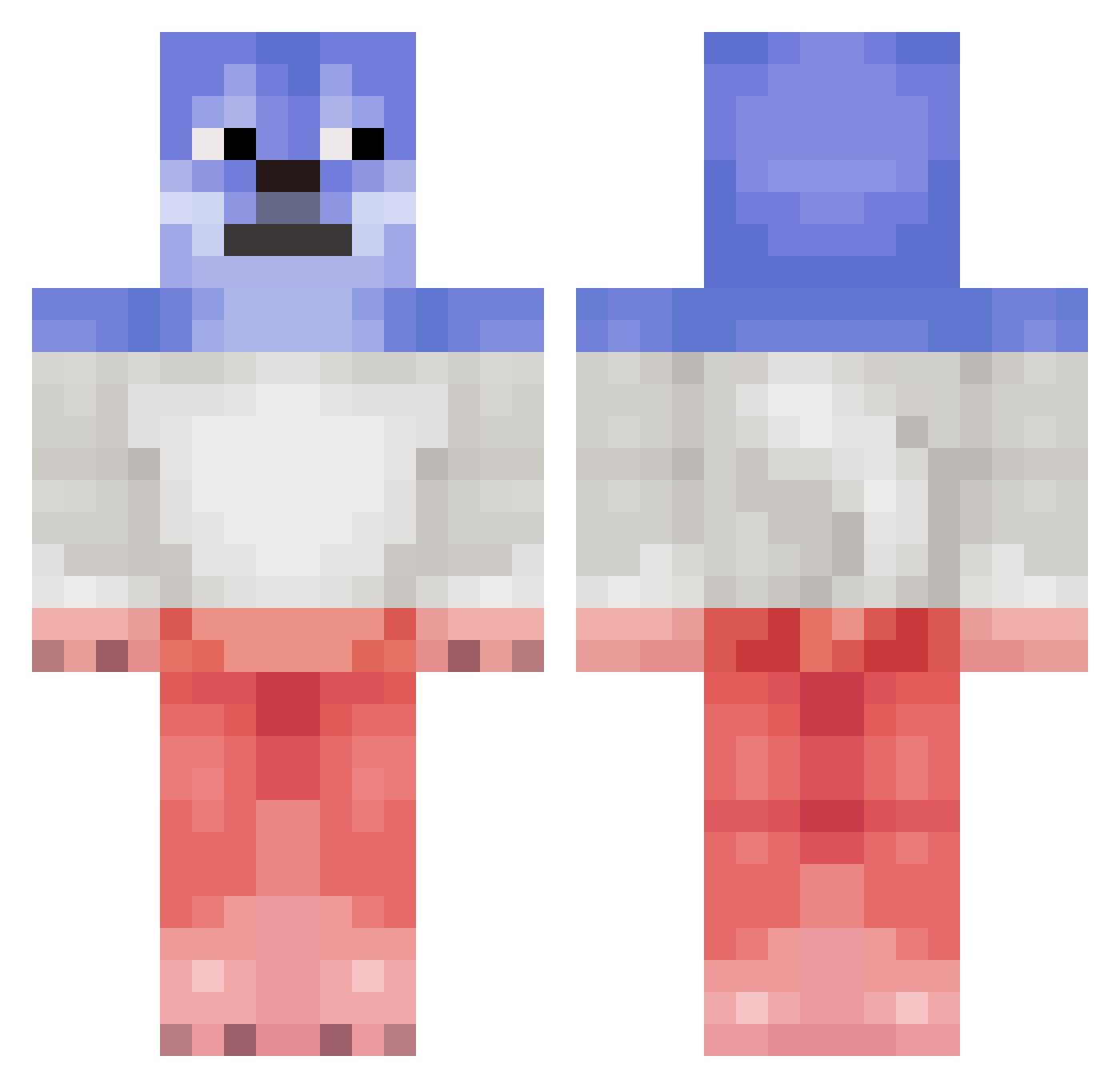 zfloppaSW Minecraft skin, front and back view