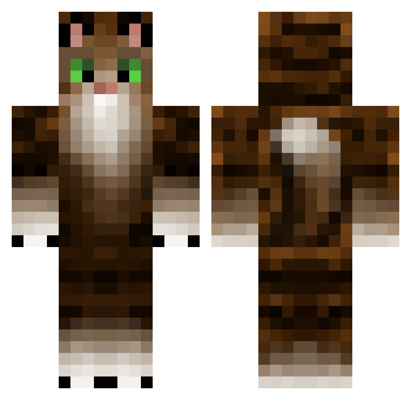 ani9000 Minecraft skin, front and back view