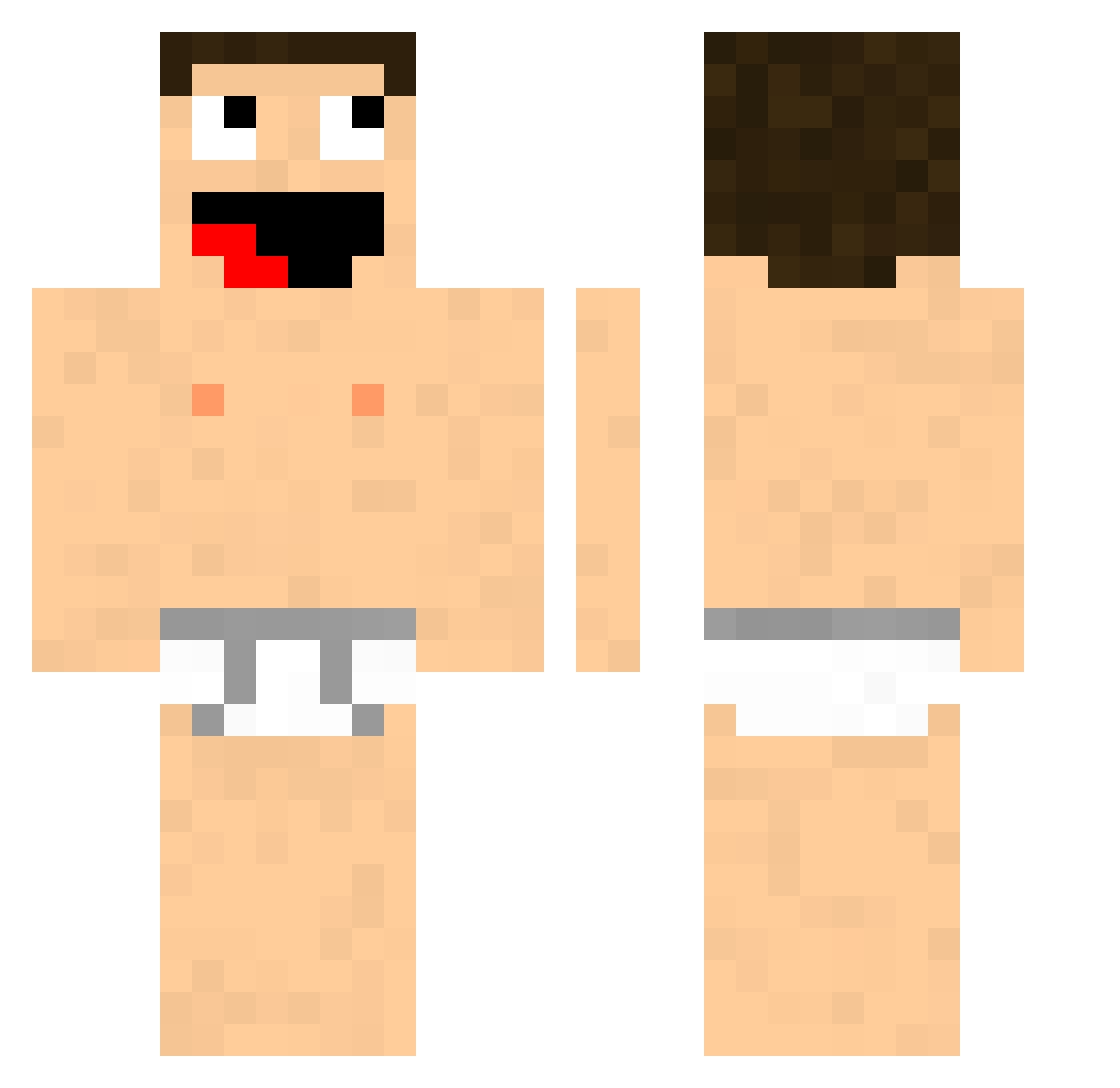 rylaquis Minecraft skin, front and back view