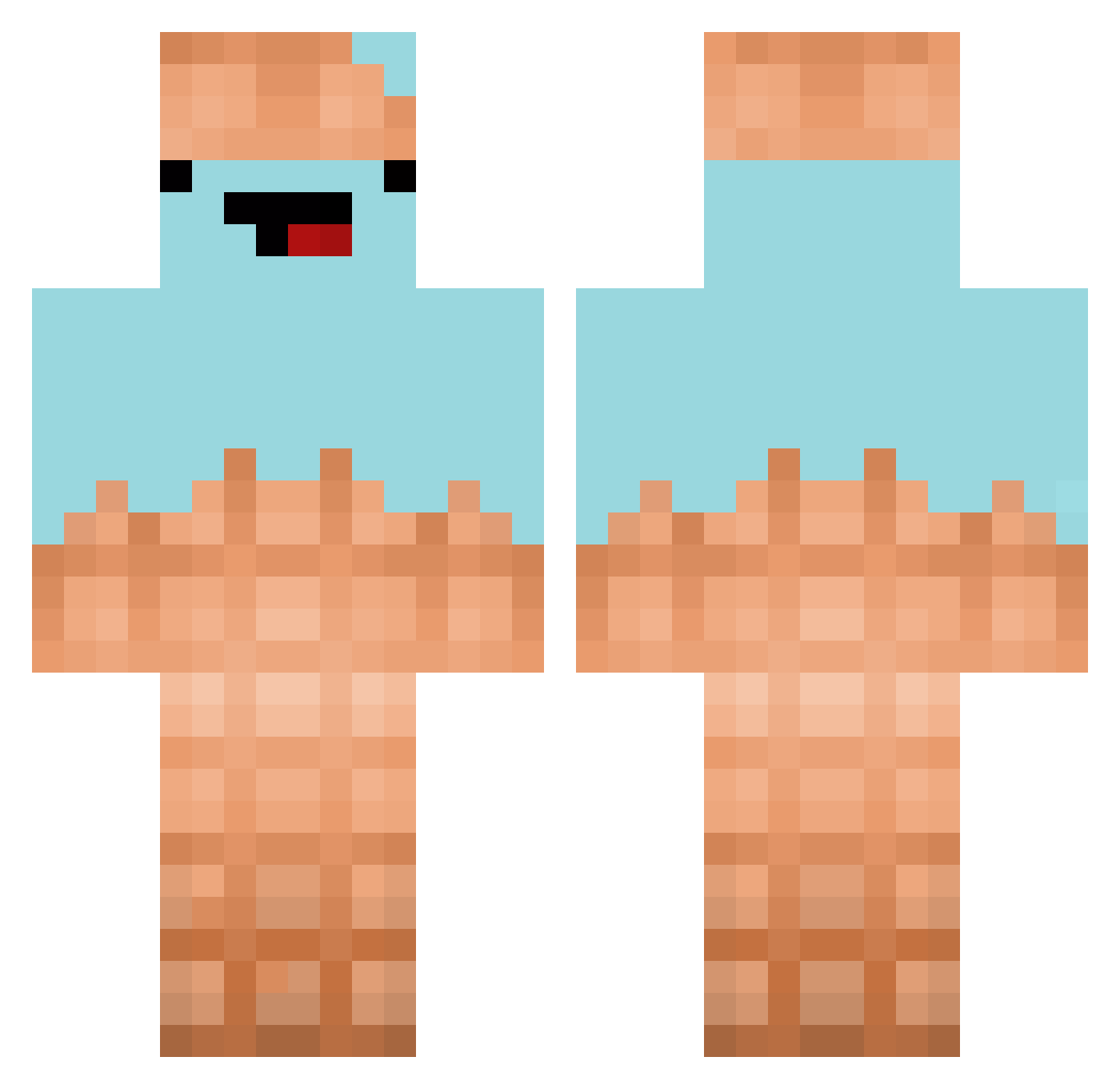 Friezes Minecraft skin, front and back view