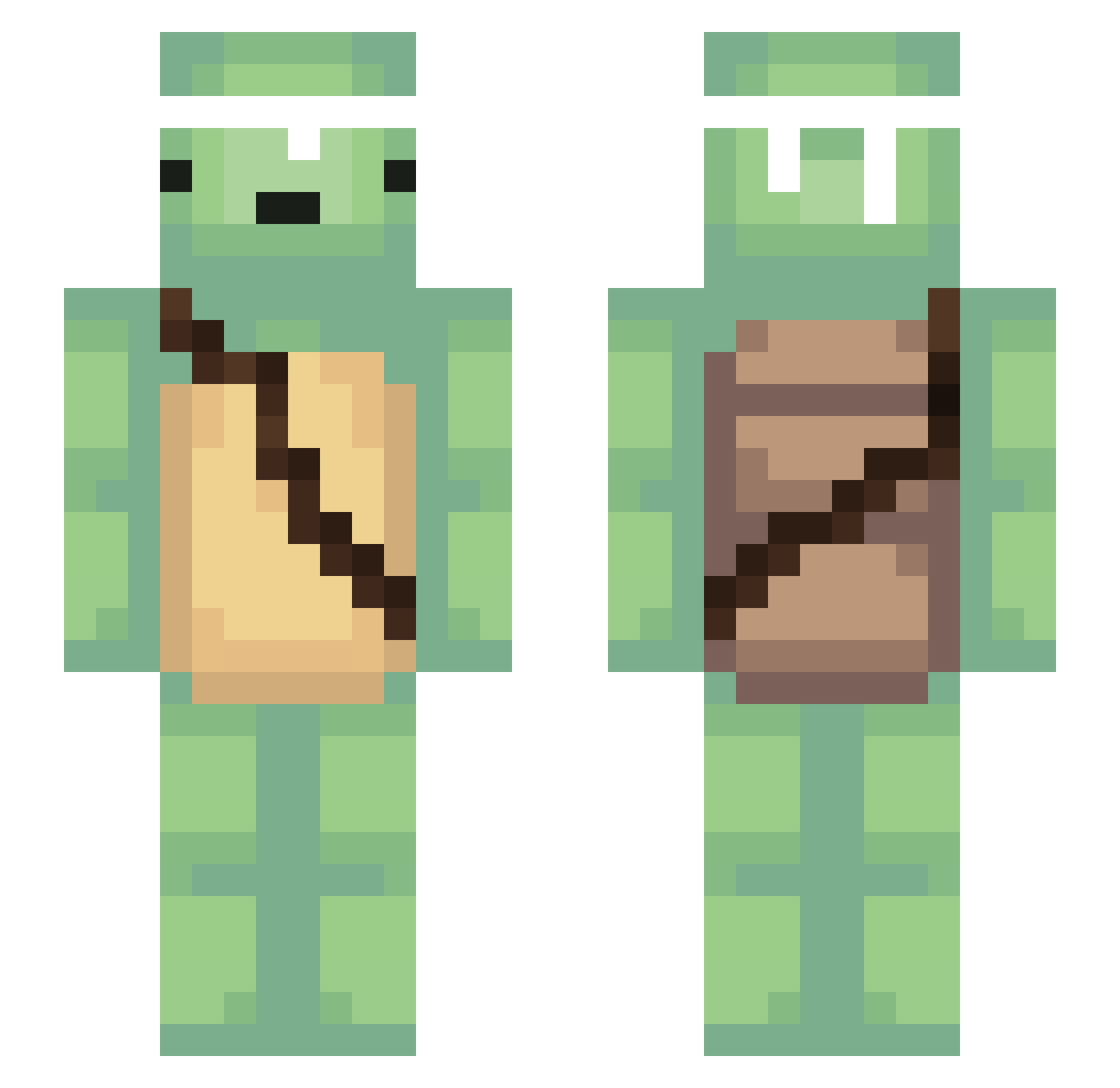 ecualisi Minecraft skin, front and back view
