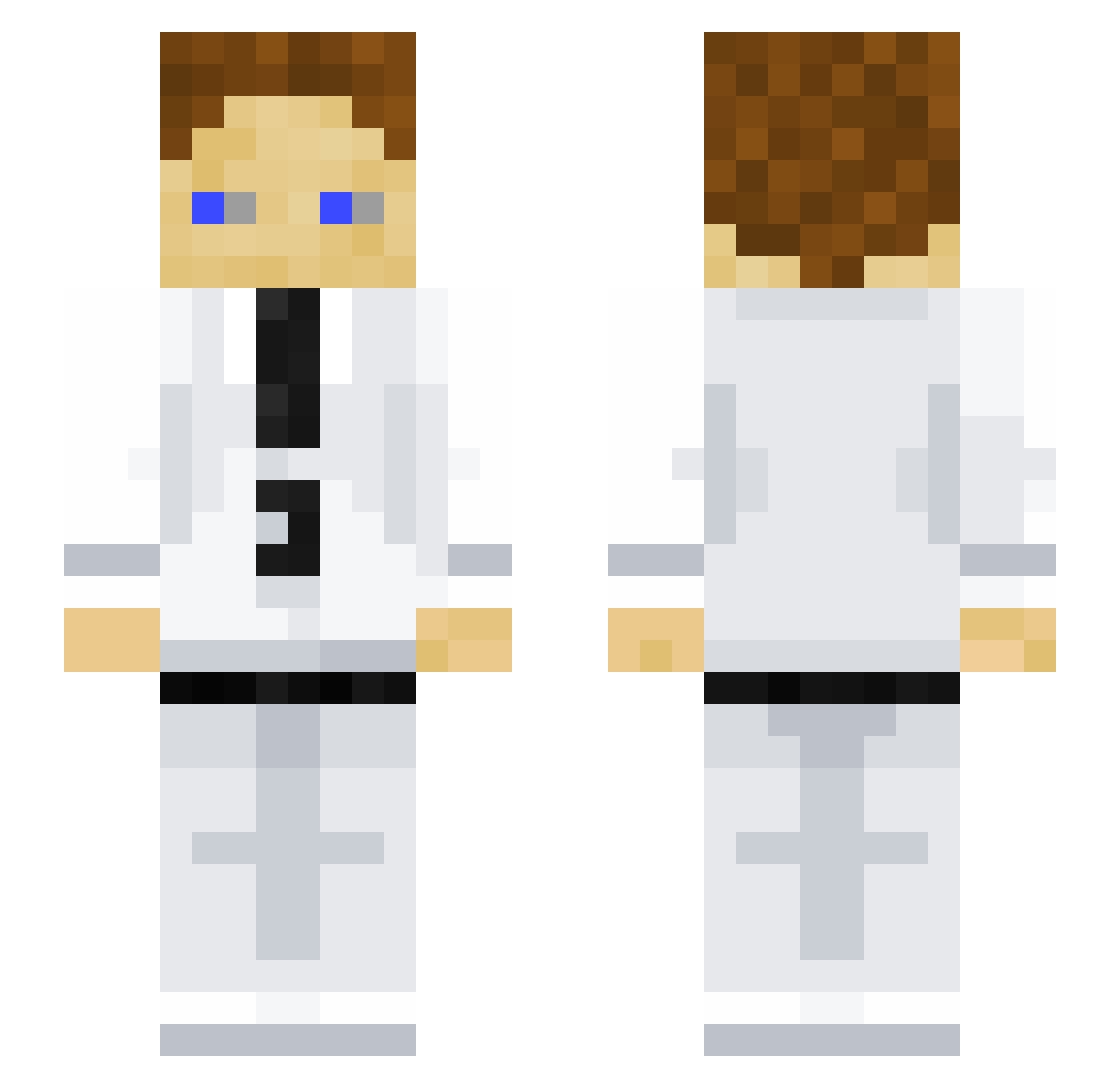 Tvveedlex Minecraft skin, front and back view