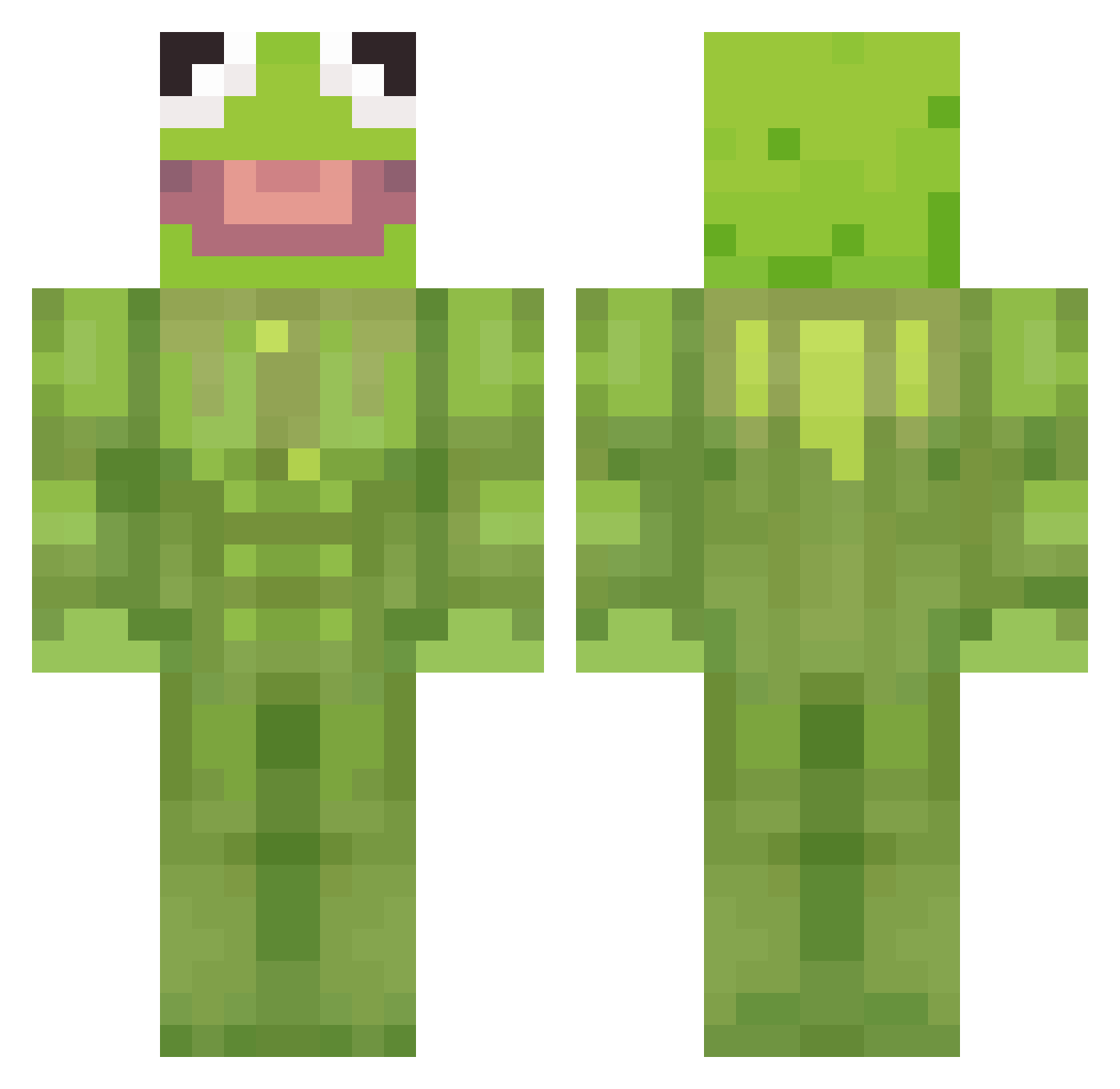 wostel Minecraft skin, front and back view