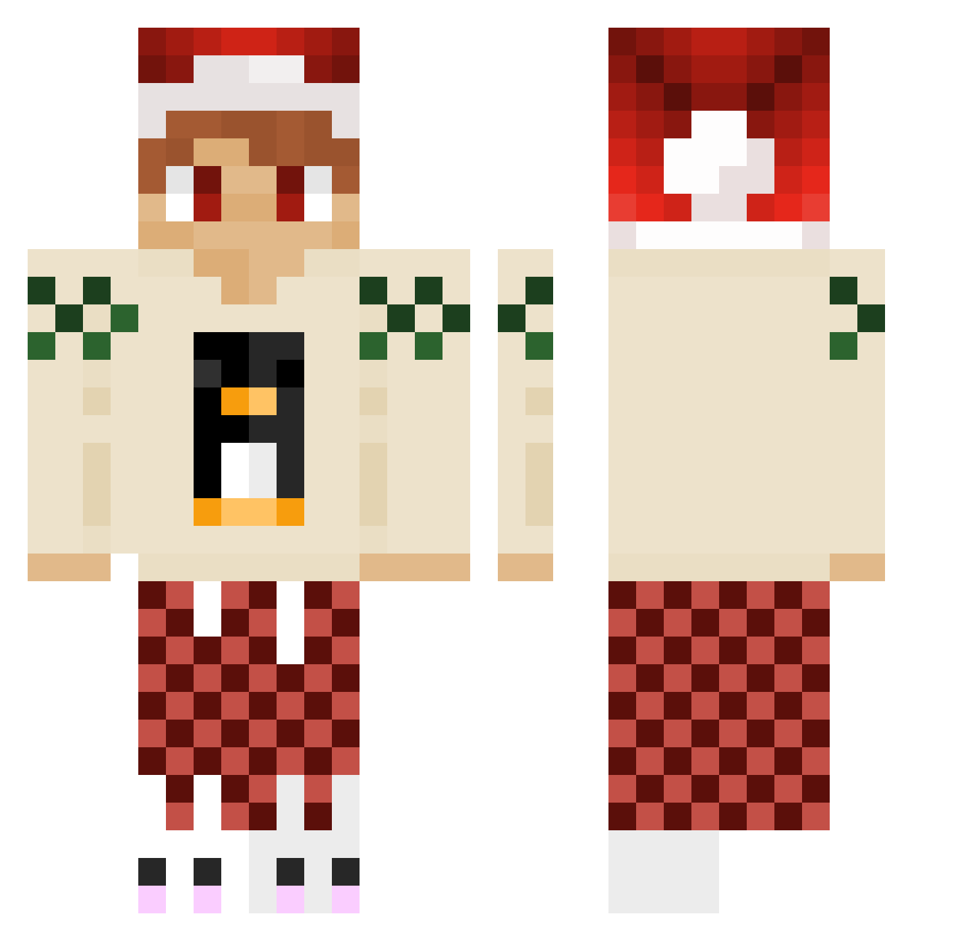 painguinlol Minecraft skin, front and back view