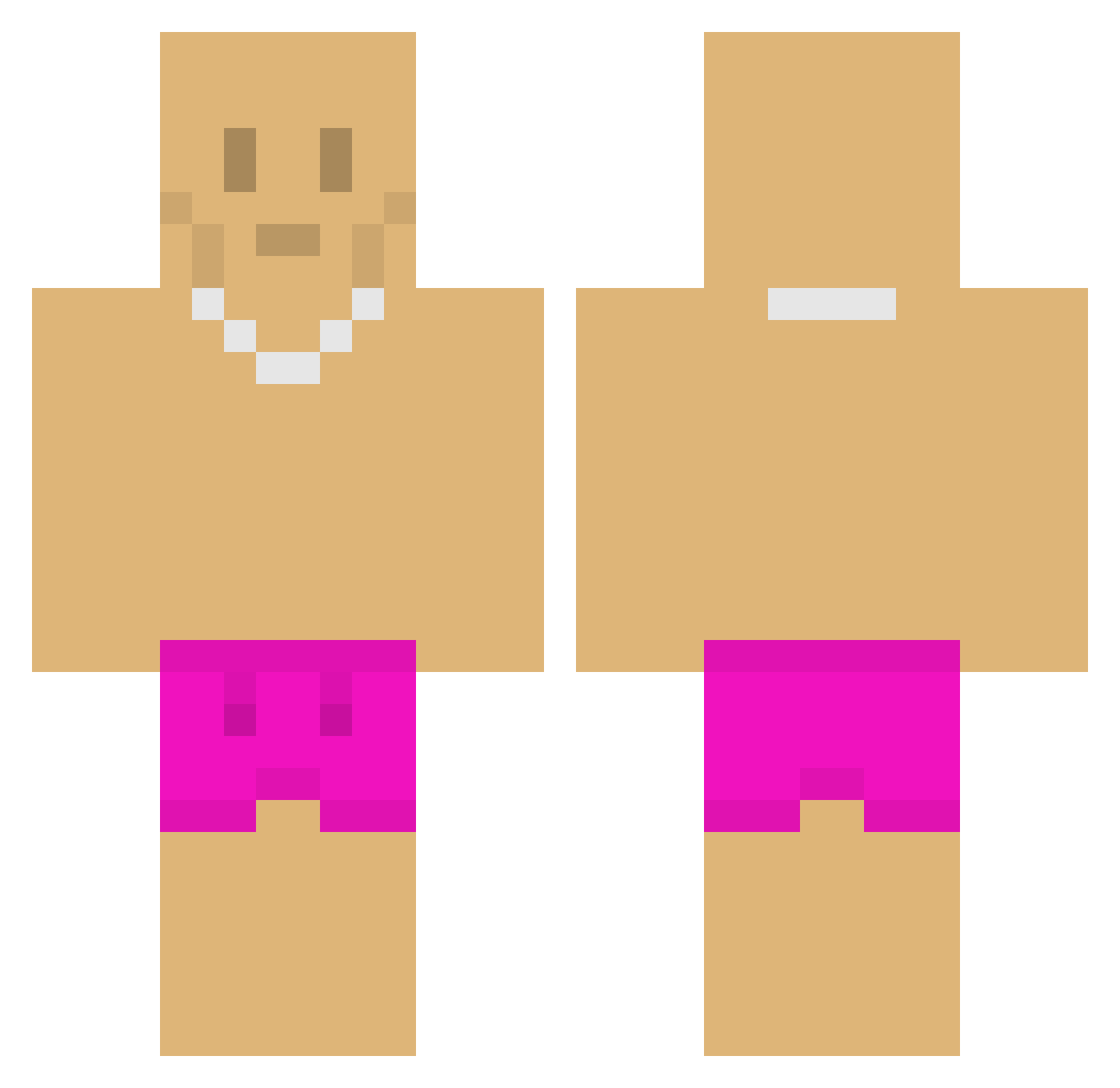 Omnividete Minecraft skin, front and back view