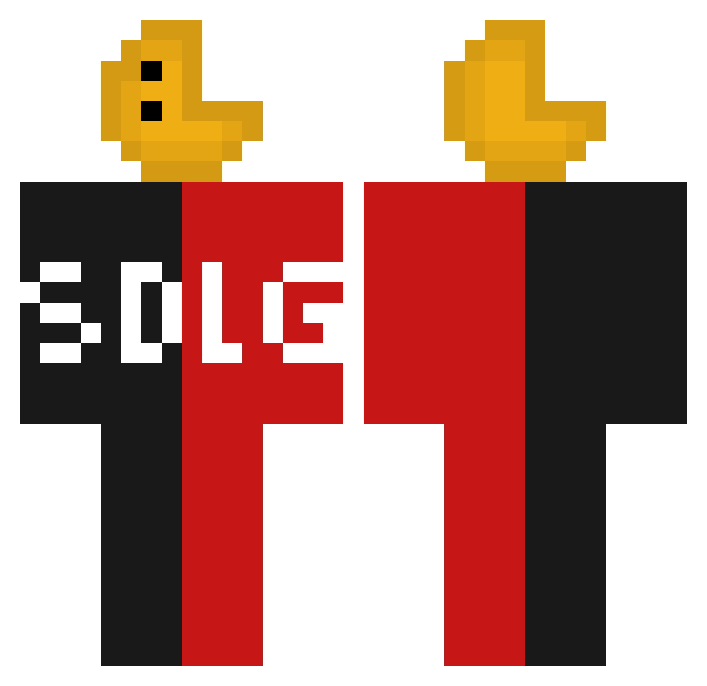 Roiergamerctxa Minecraft skin, front and back view