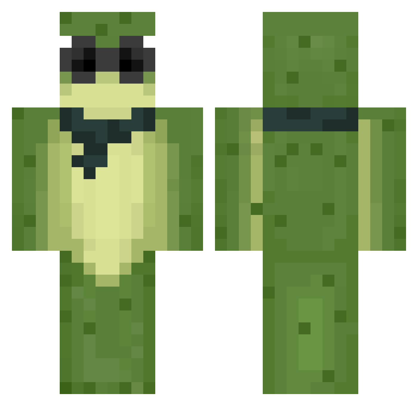 MAESTROSCIMMIA73 Minecraft skin, front and back view