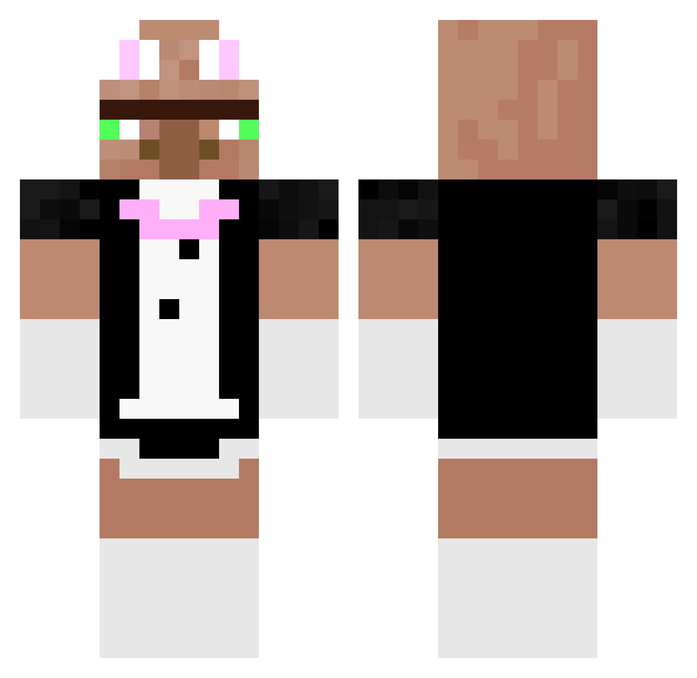 pollprogaming Minecraft skin, front and back view