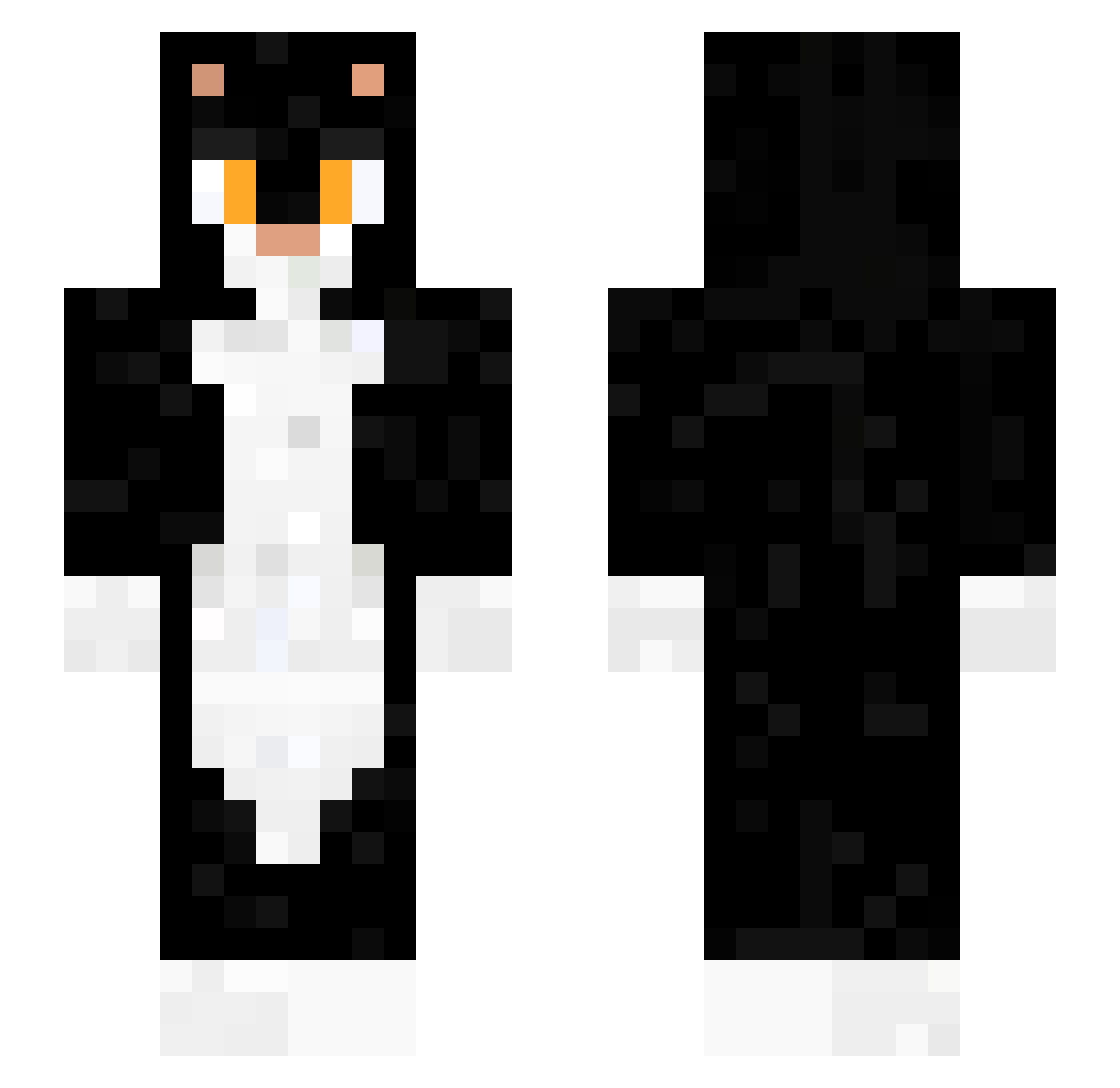 iElGioo Minecraft skin, front and back view