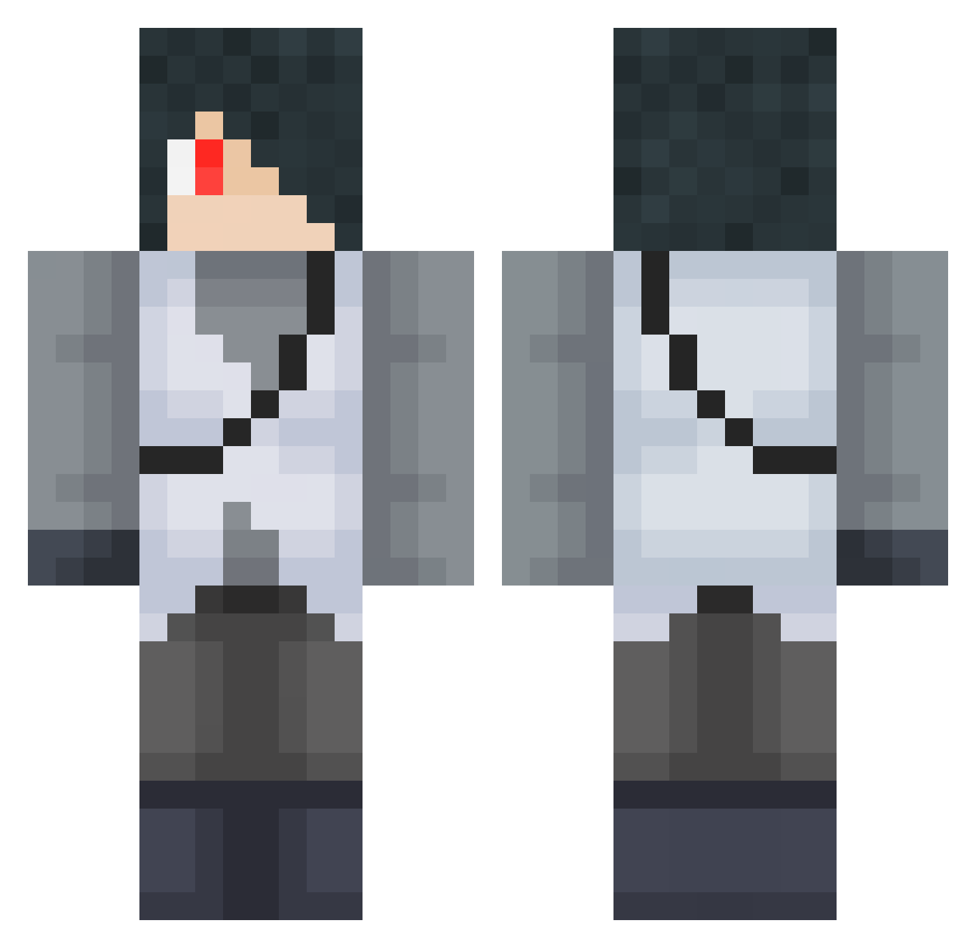pls8501 Minecraft skin, front and back view