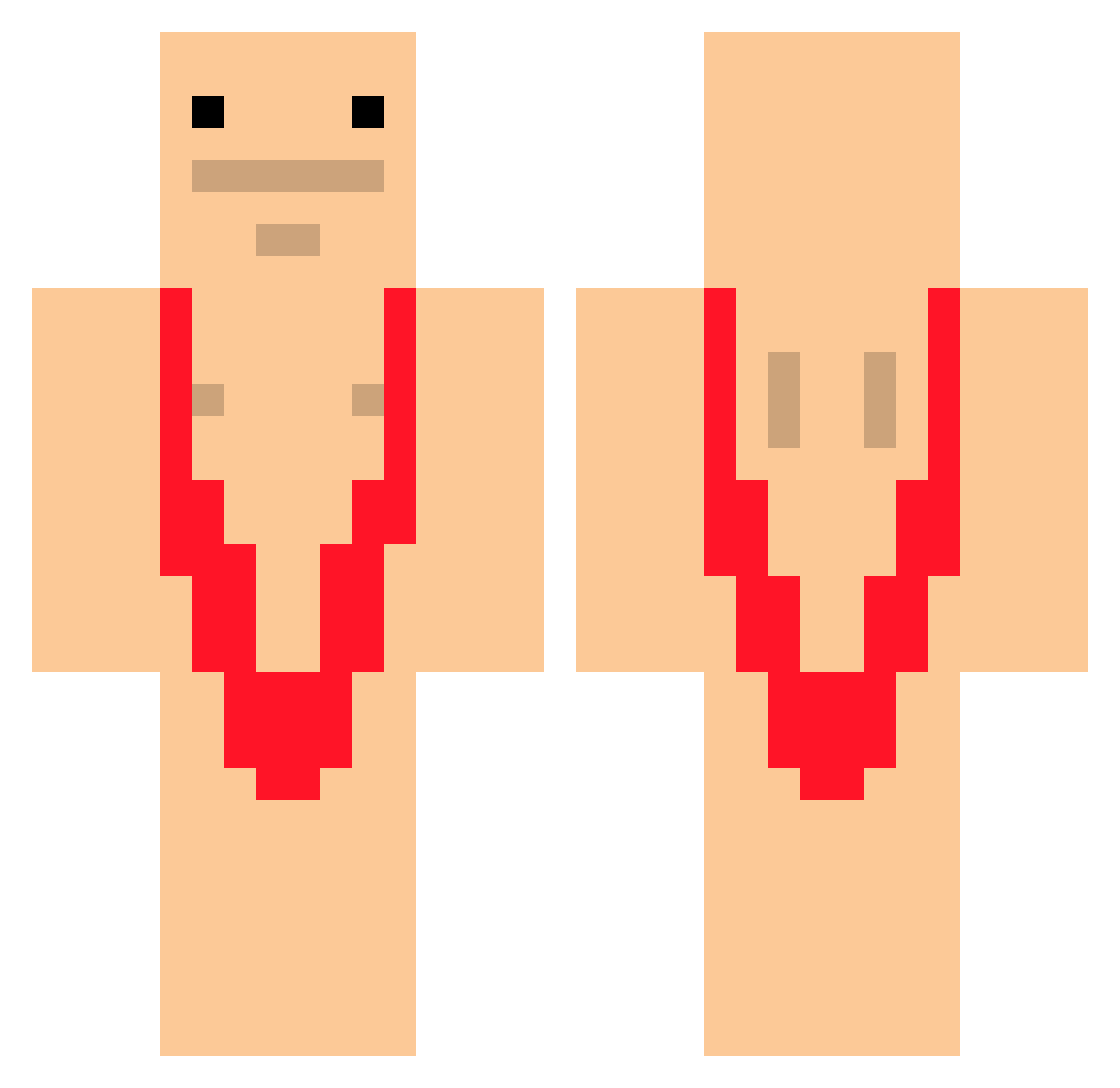 031576 Minecraft skin, front and back view