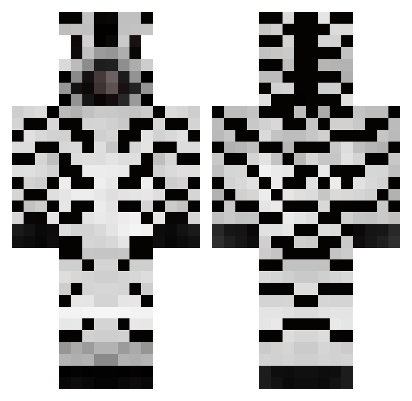 z3bbr0 Minecraft skin, front and back view