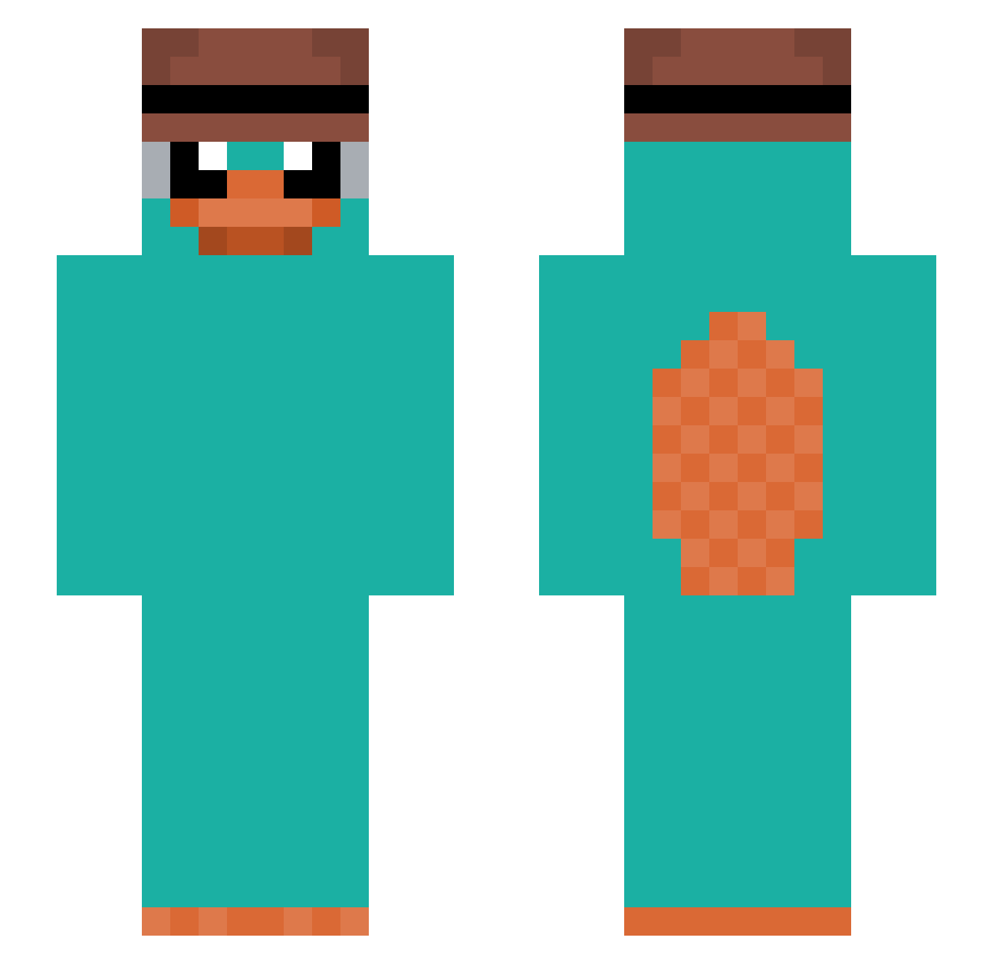 SonicMaster1309 Minecraft skin, front and back view