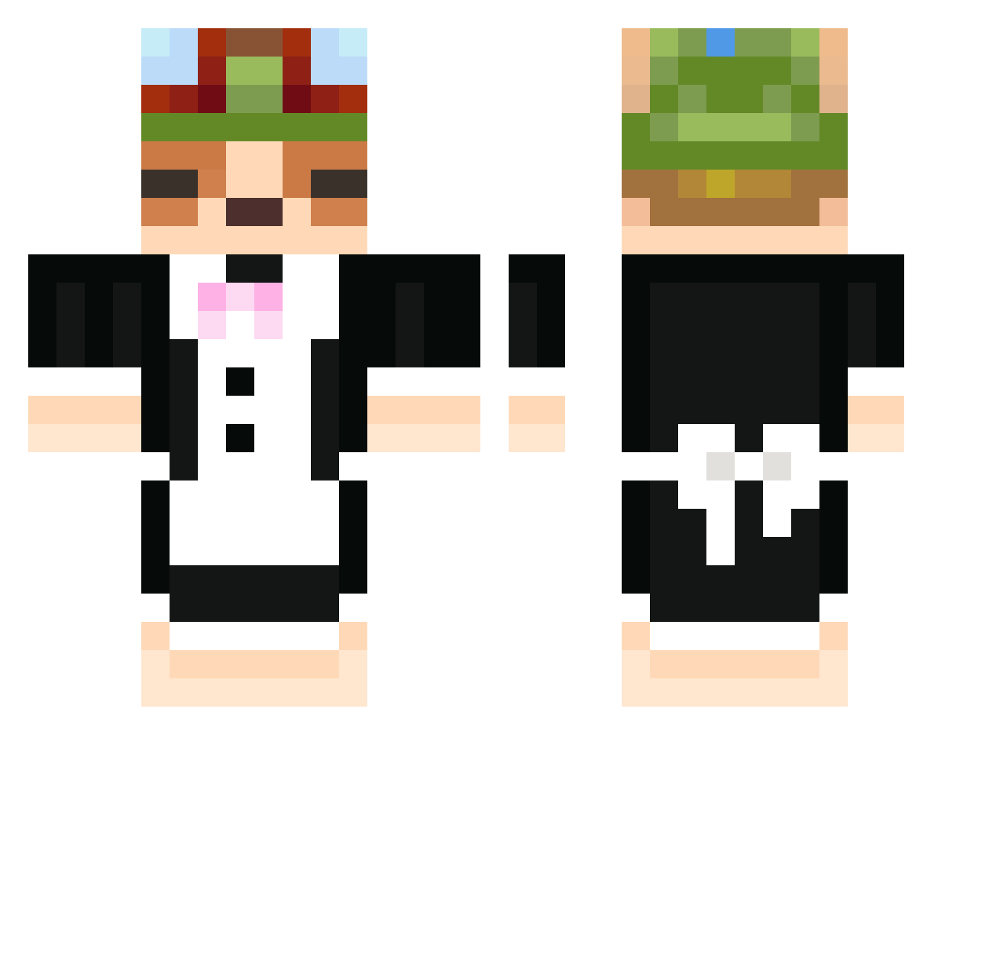 Aconas Minecraft skin, front and back view