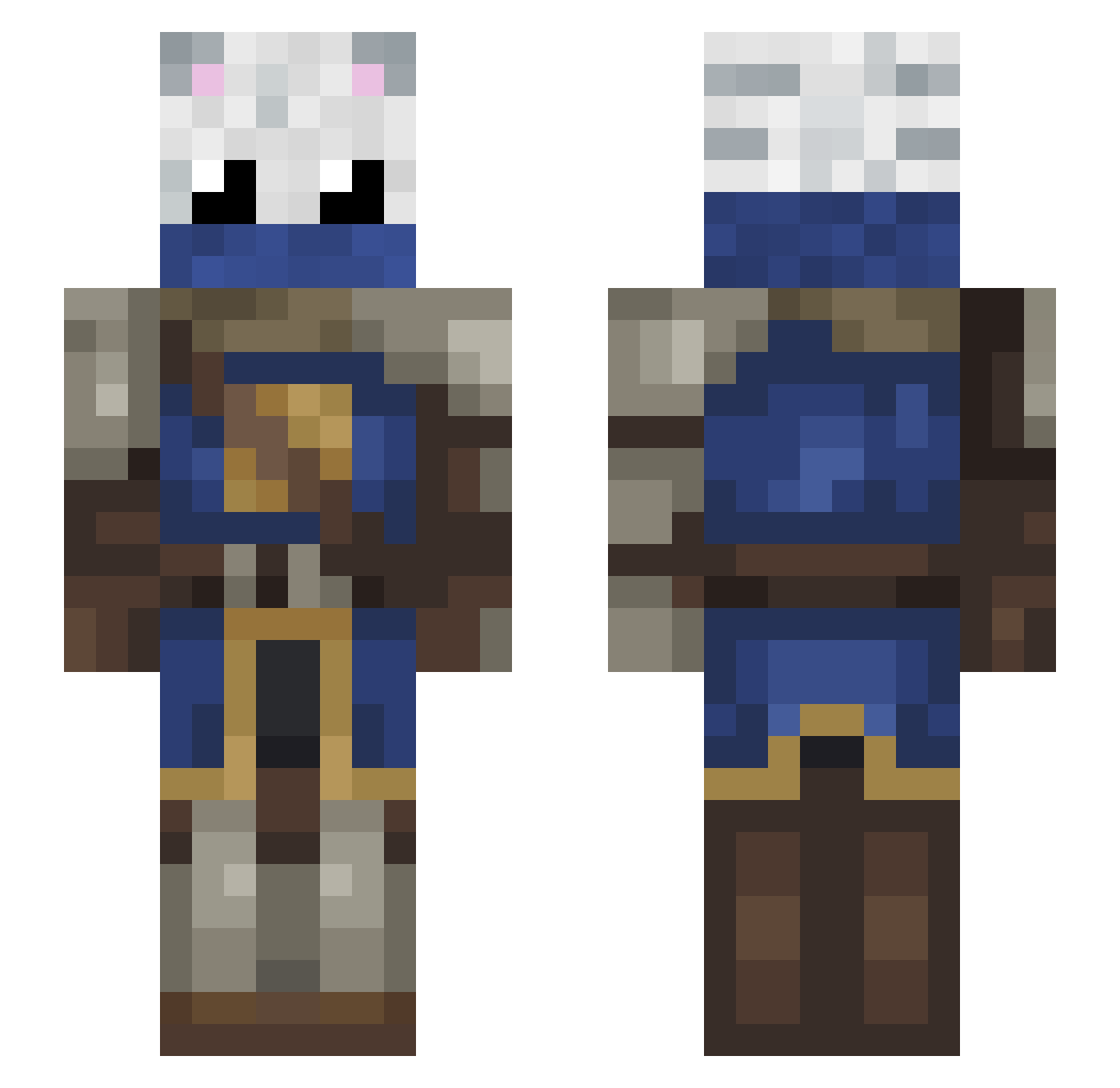 Rigidcat Minecraft skin, front and back view