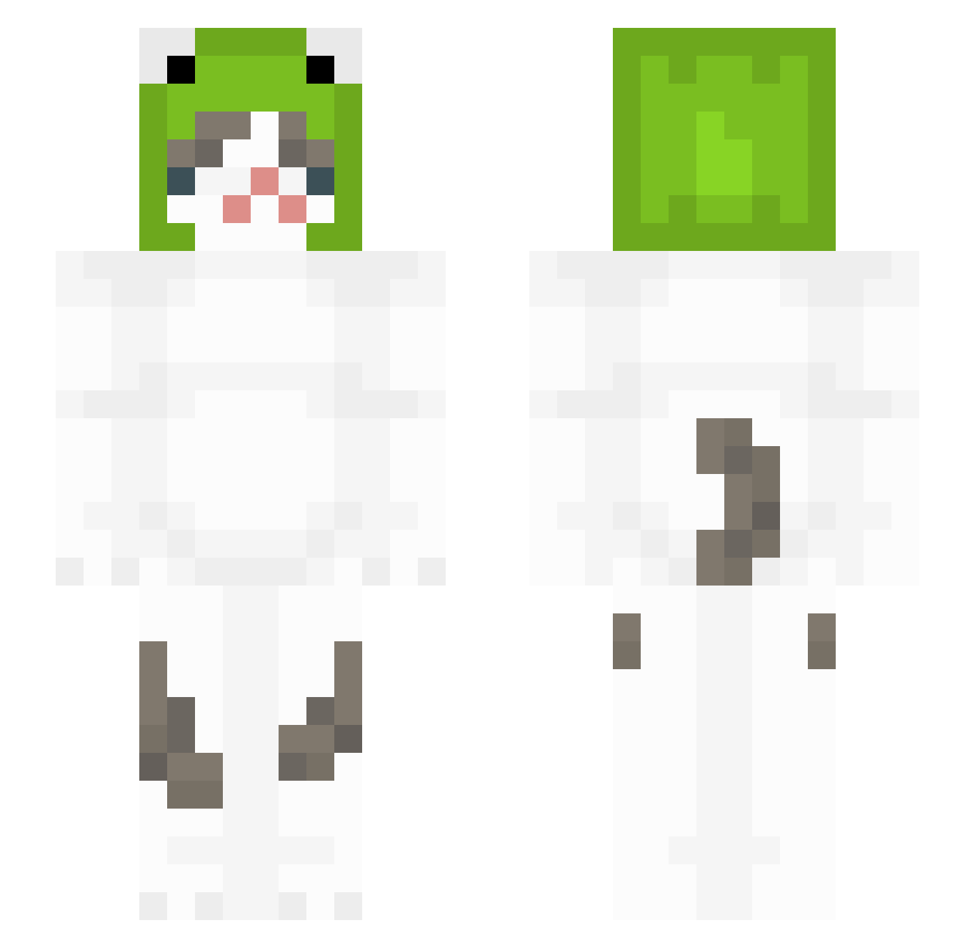 Ray_0120 Minecraft skin, front and back view