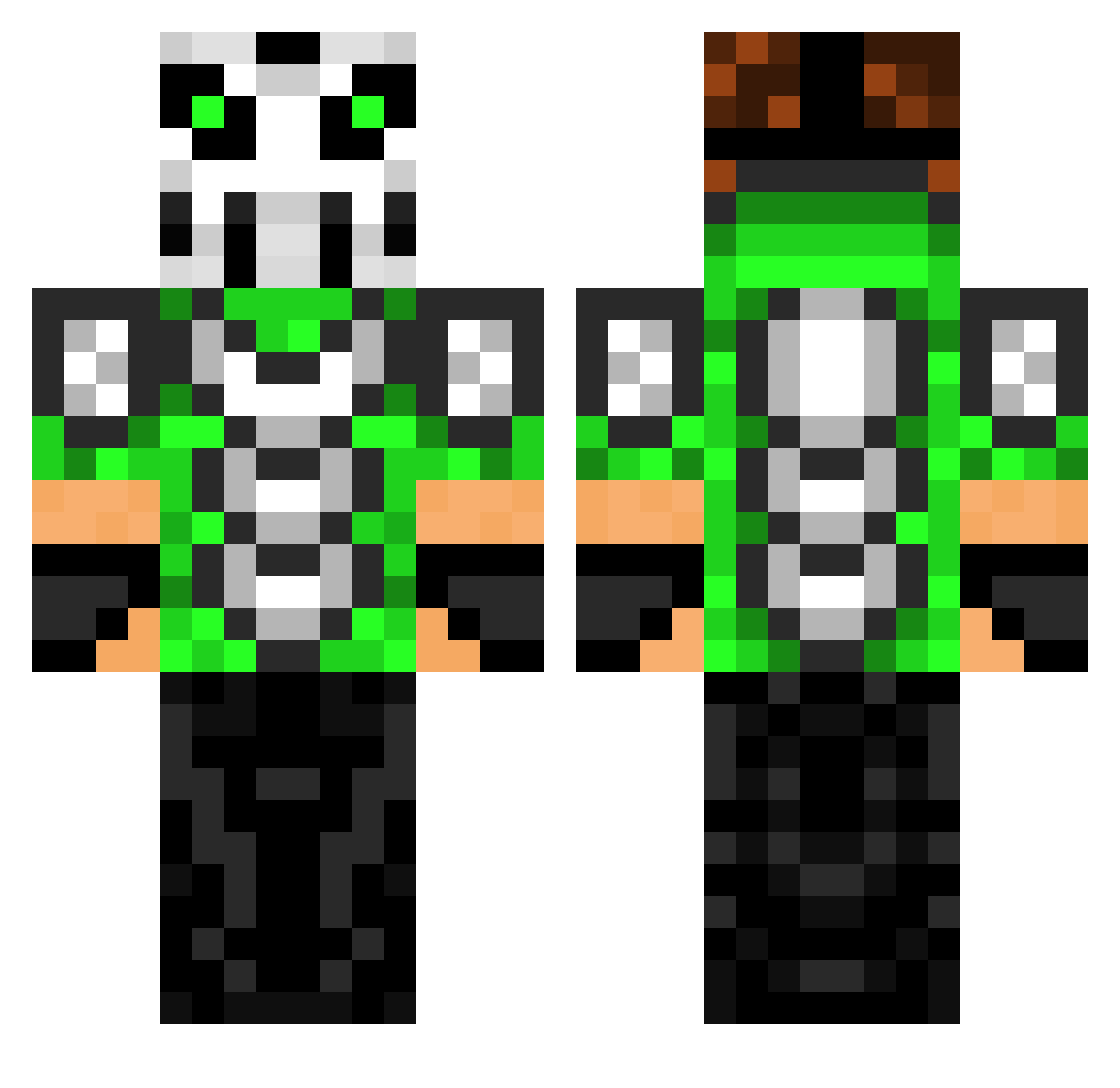 biometries Minecraft skin, front and back view