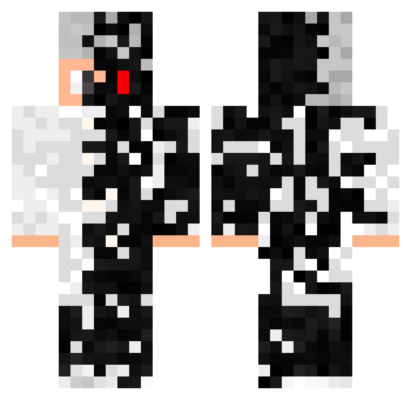 WDM3003 Minecraft skin, front and back view