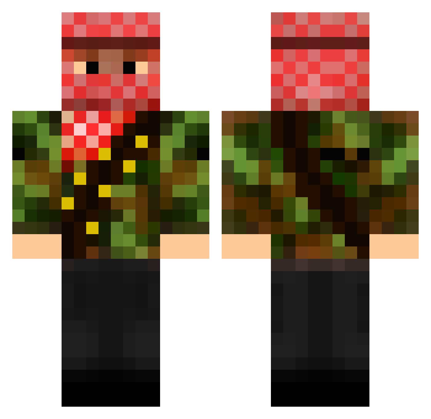 Poloni Minecraft skin, front and back view