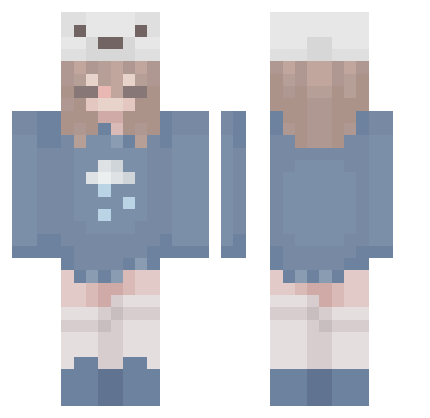 _zSywii Minecraft skin, front and back view