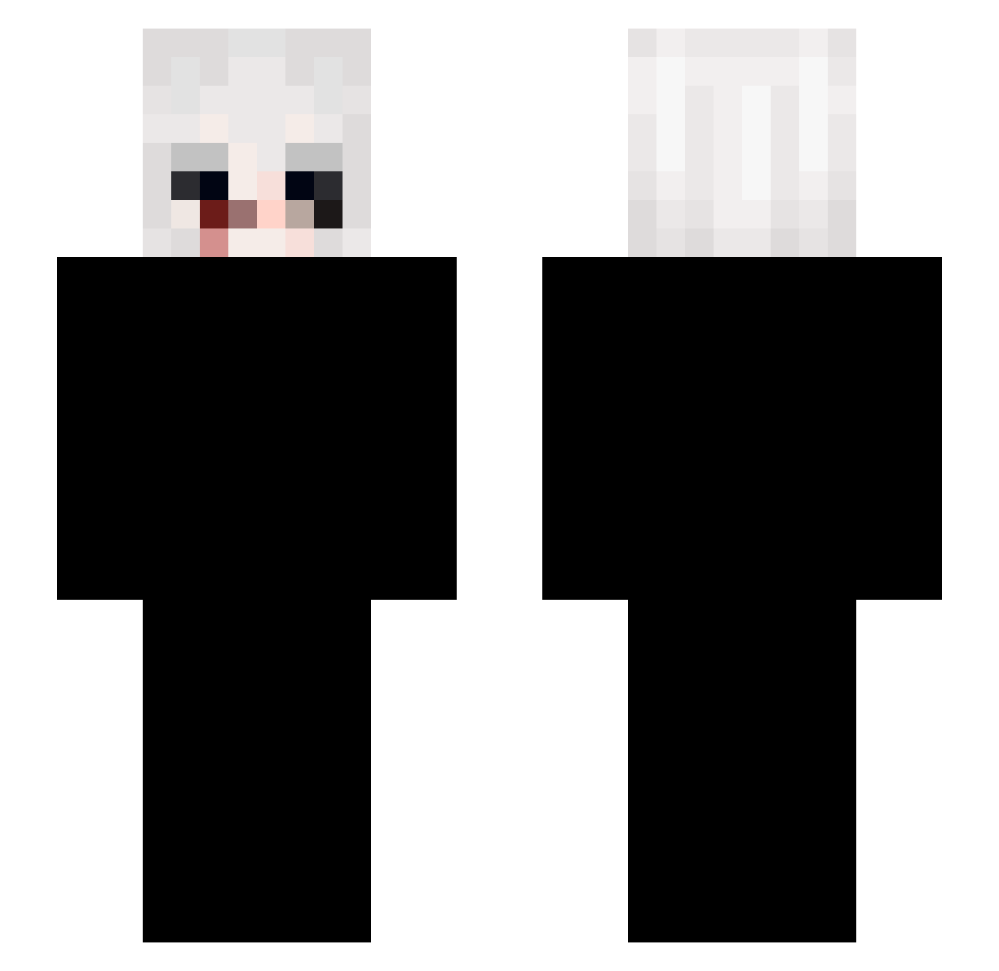 voidskunk Minecraft skin, front and back view