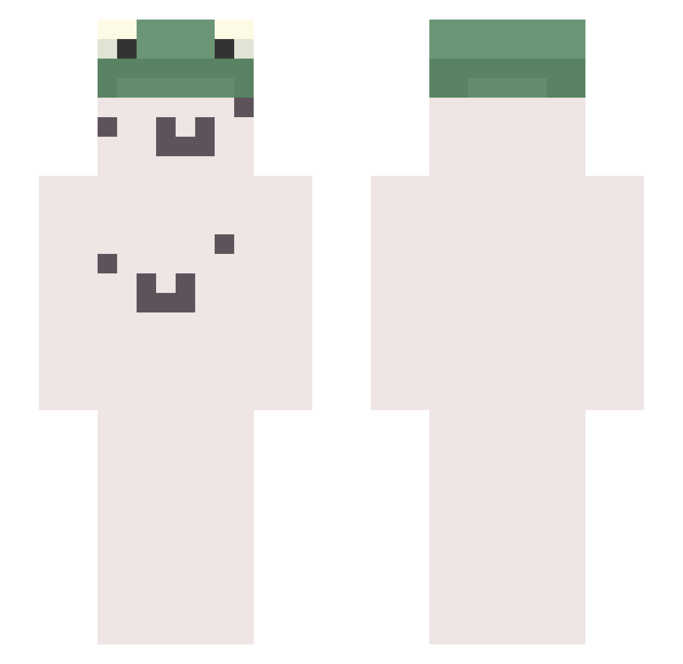 enviroment Minecraft skin, front and back view