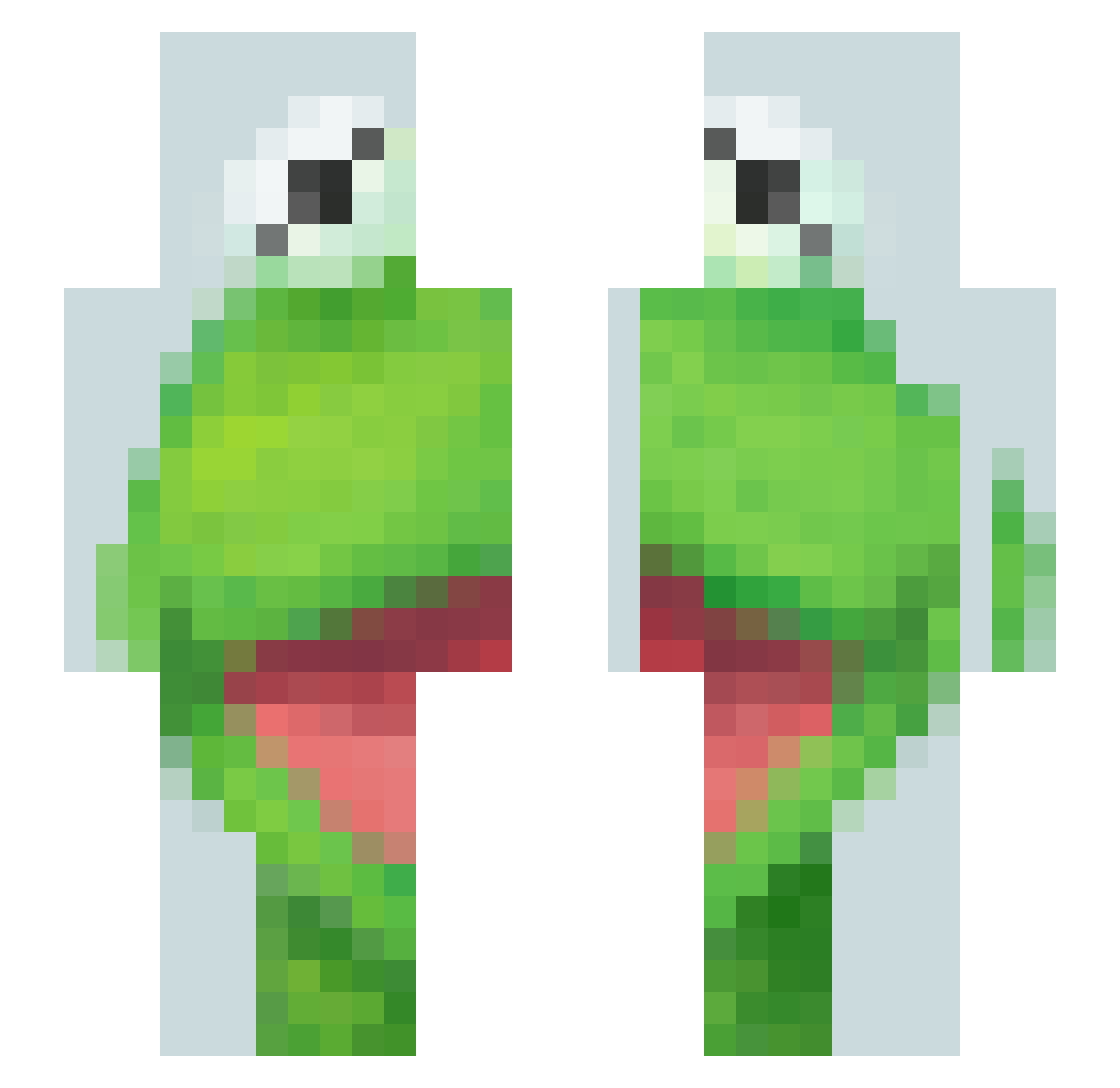 TallboyDude Minecraft skin, front and back view