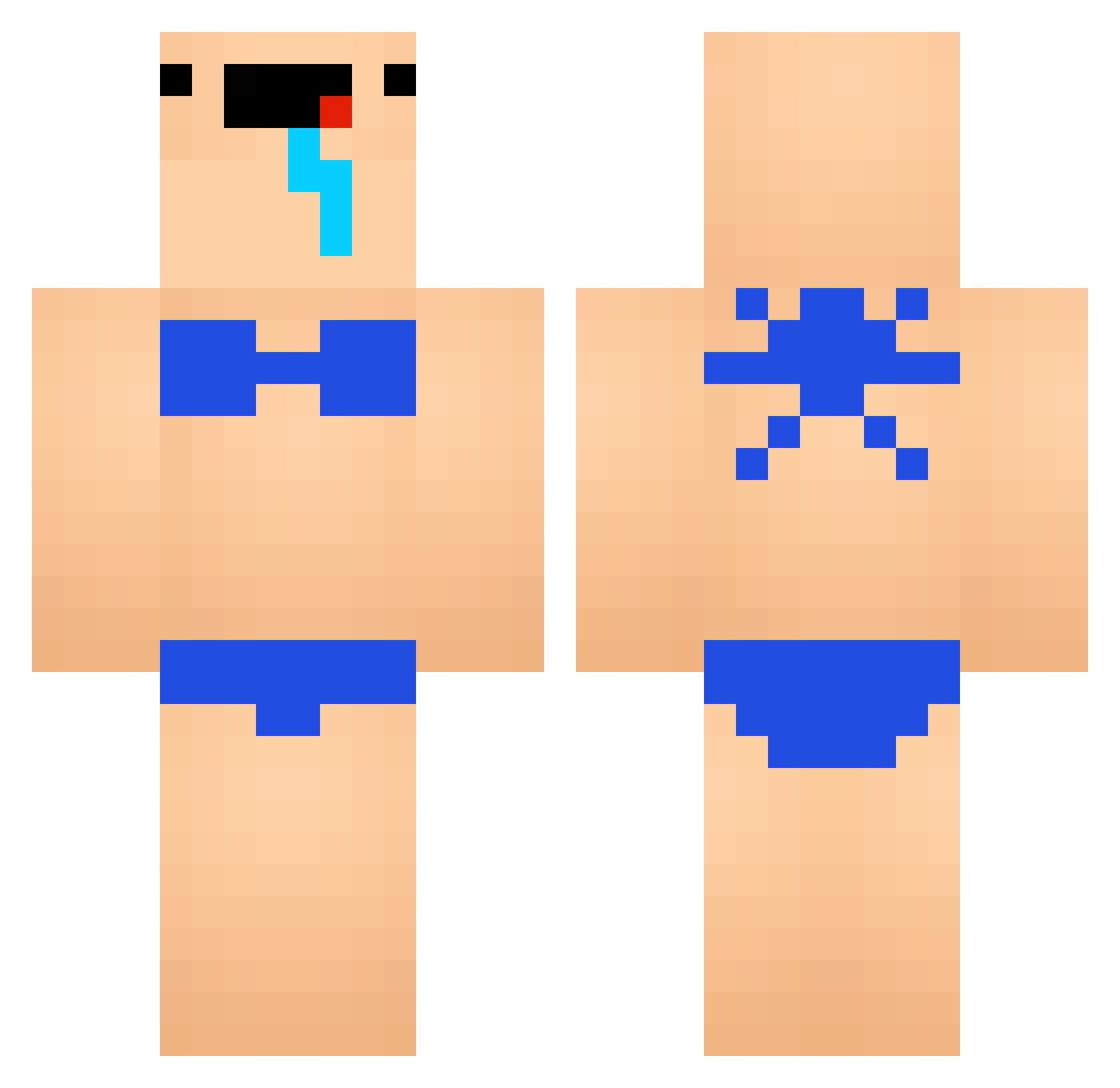 PotionCounter Minecraft skin, front and back view