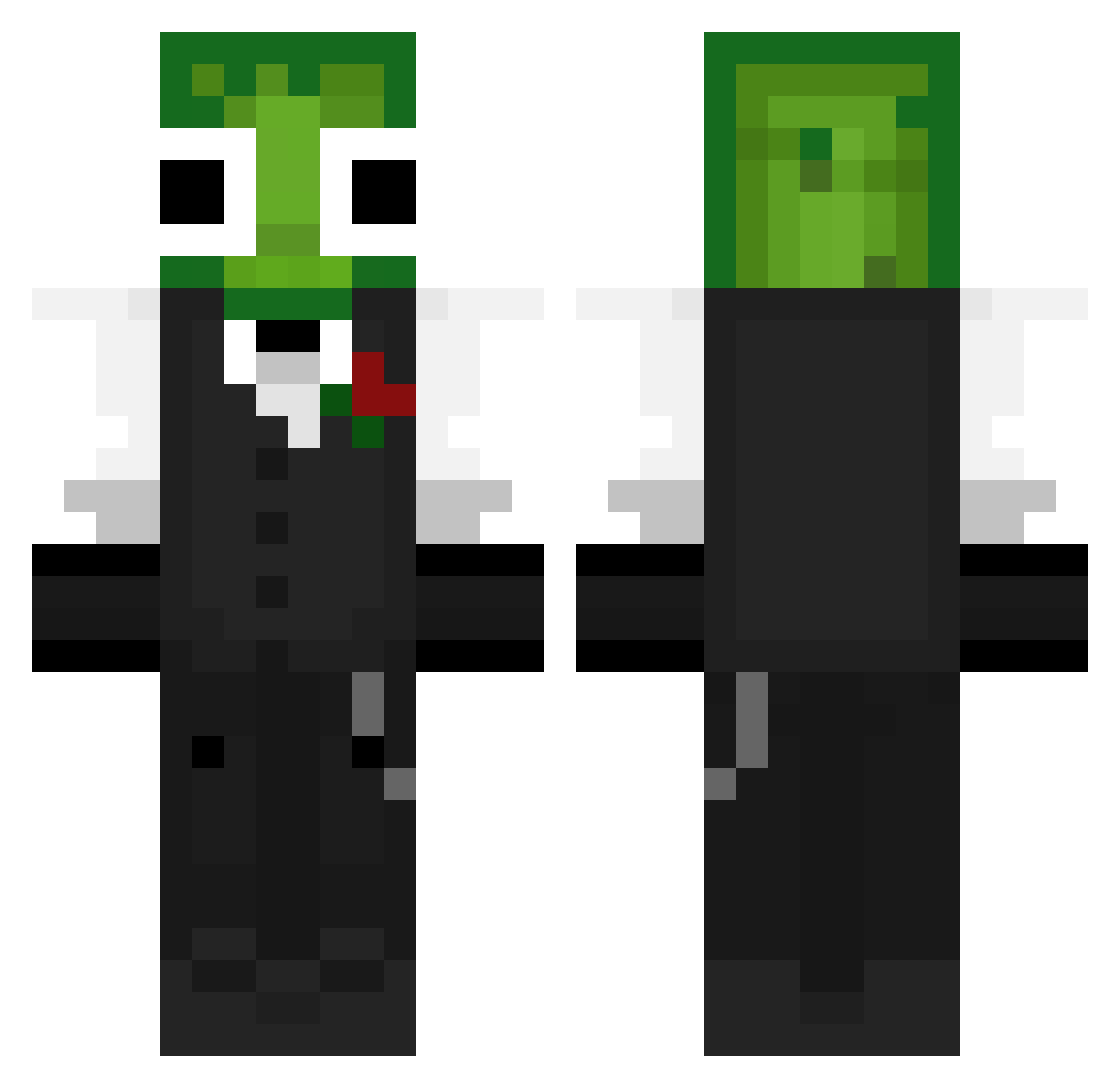 Vishini Minecraft skin, front and back view