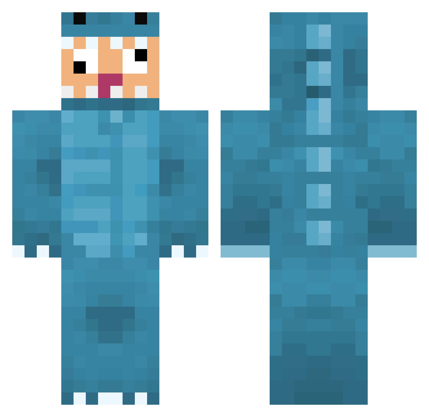 Segregates Minecraft skin, front and back view