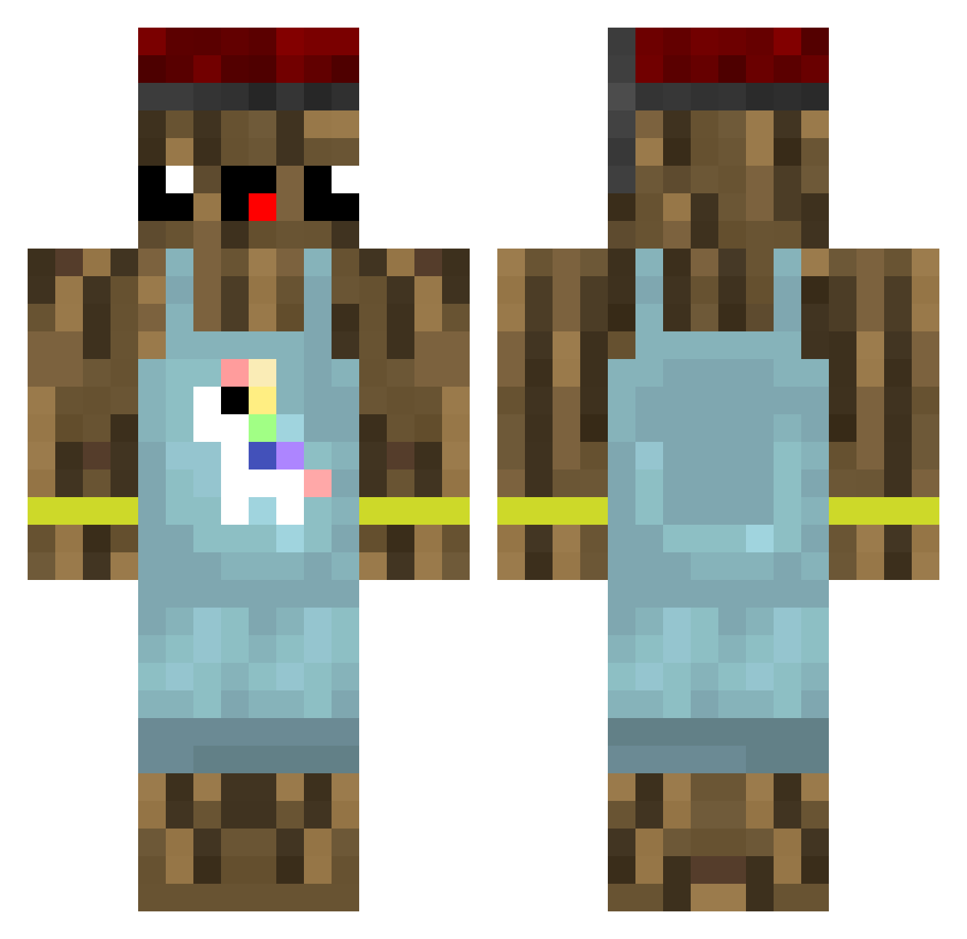 RainingNarwhals Minecraft skin, front and back view