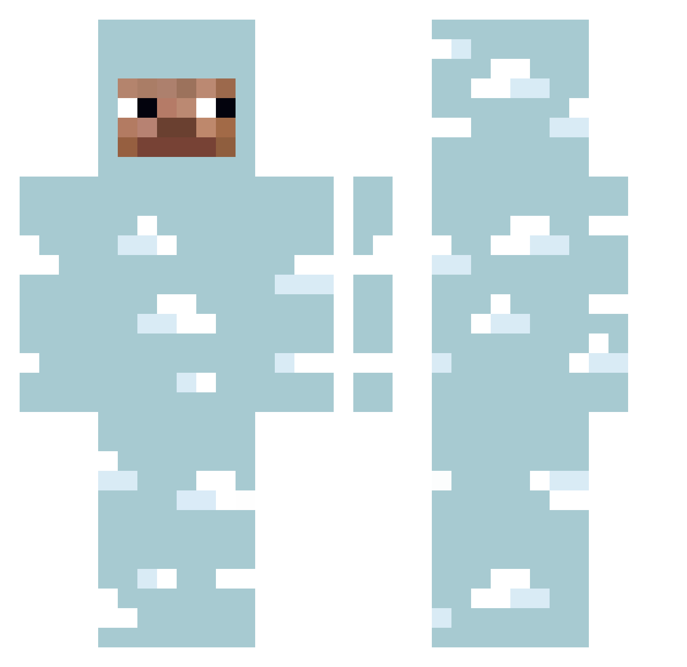 ravenP9uqL1L Minecraft skin, front and back view