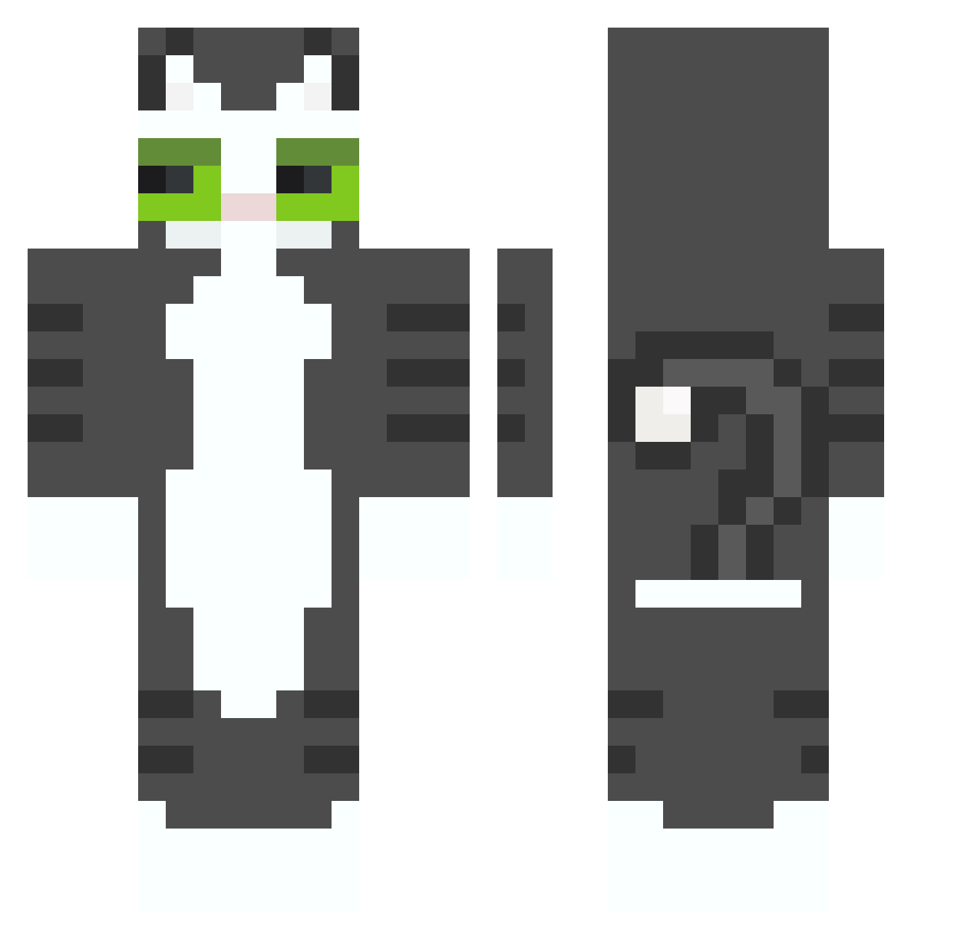 gvryftp Minecraft skin, front and back view