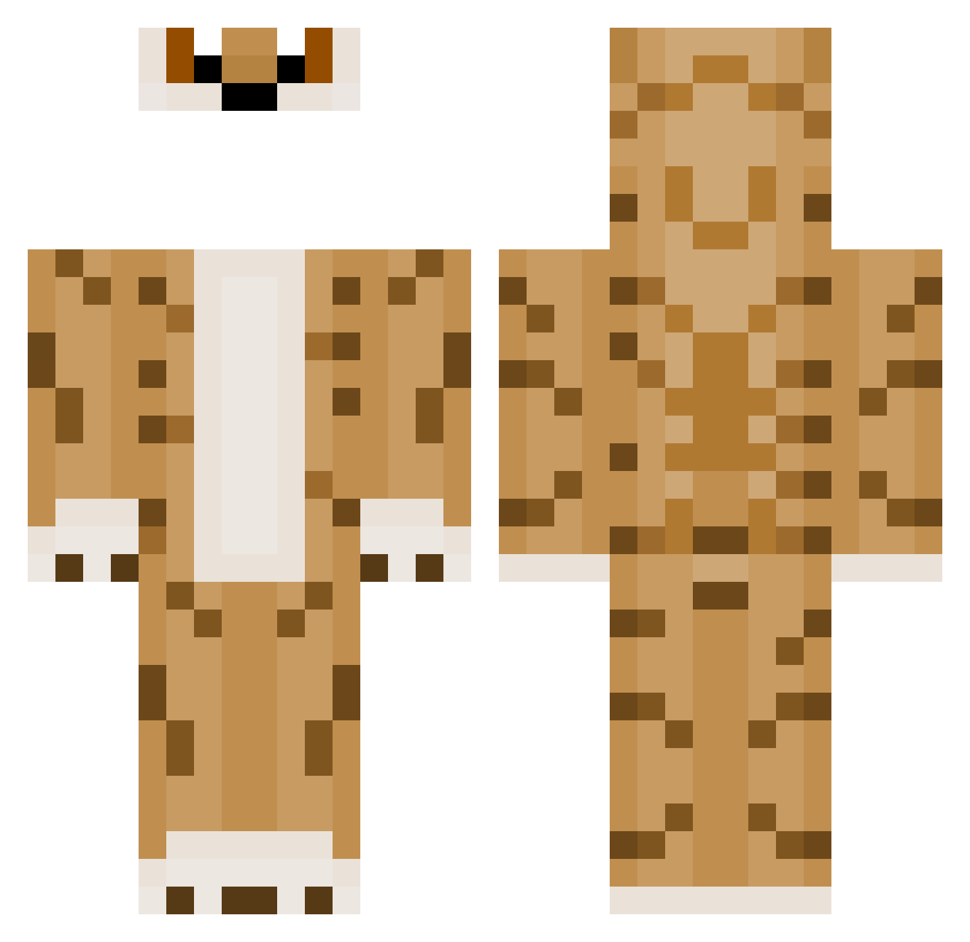SmilodoN05 Minecraft skin, front and back view