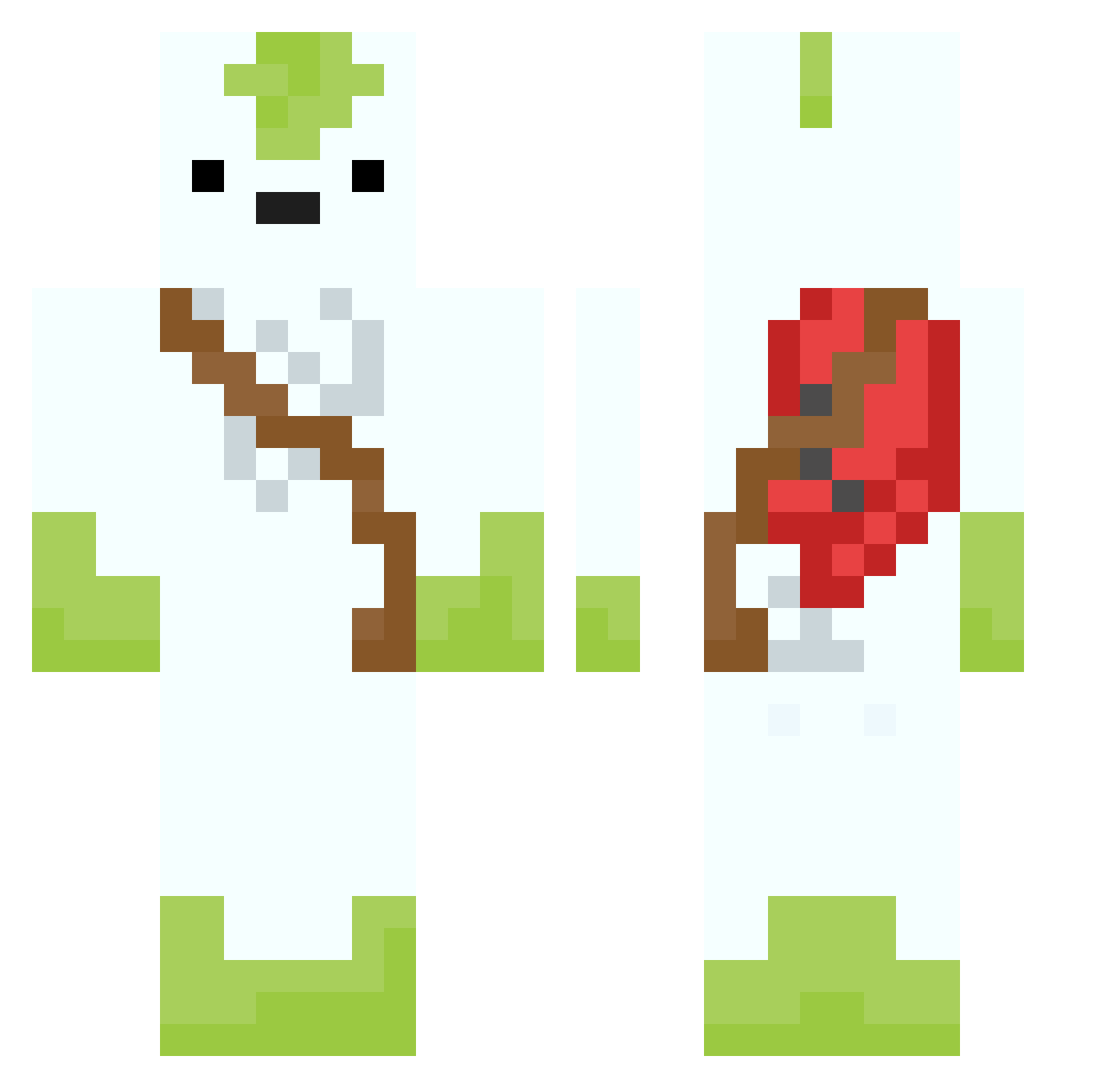 Steymin Minecraft skin, front and back view