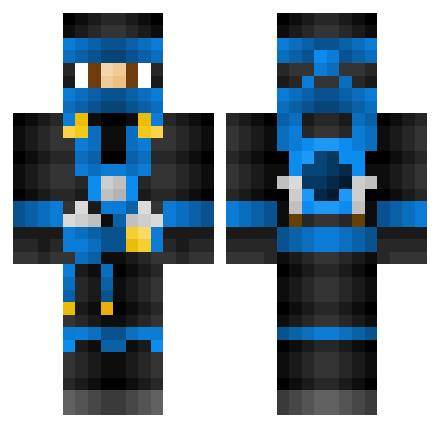 RF_polar Minecraft skin, front and back view
