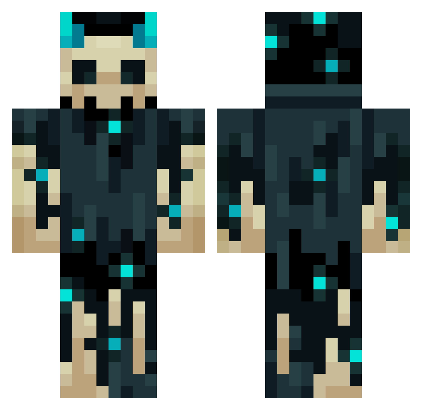 Memecat2452 Minecraft skin, front and back view