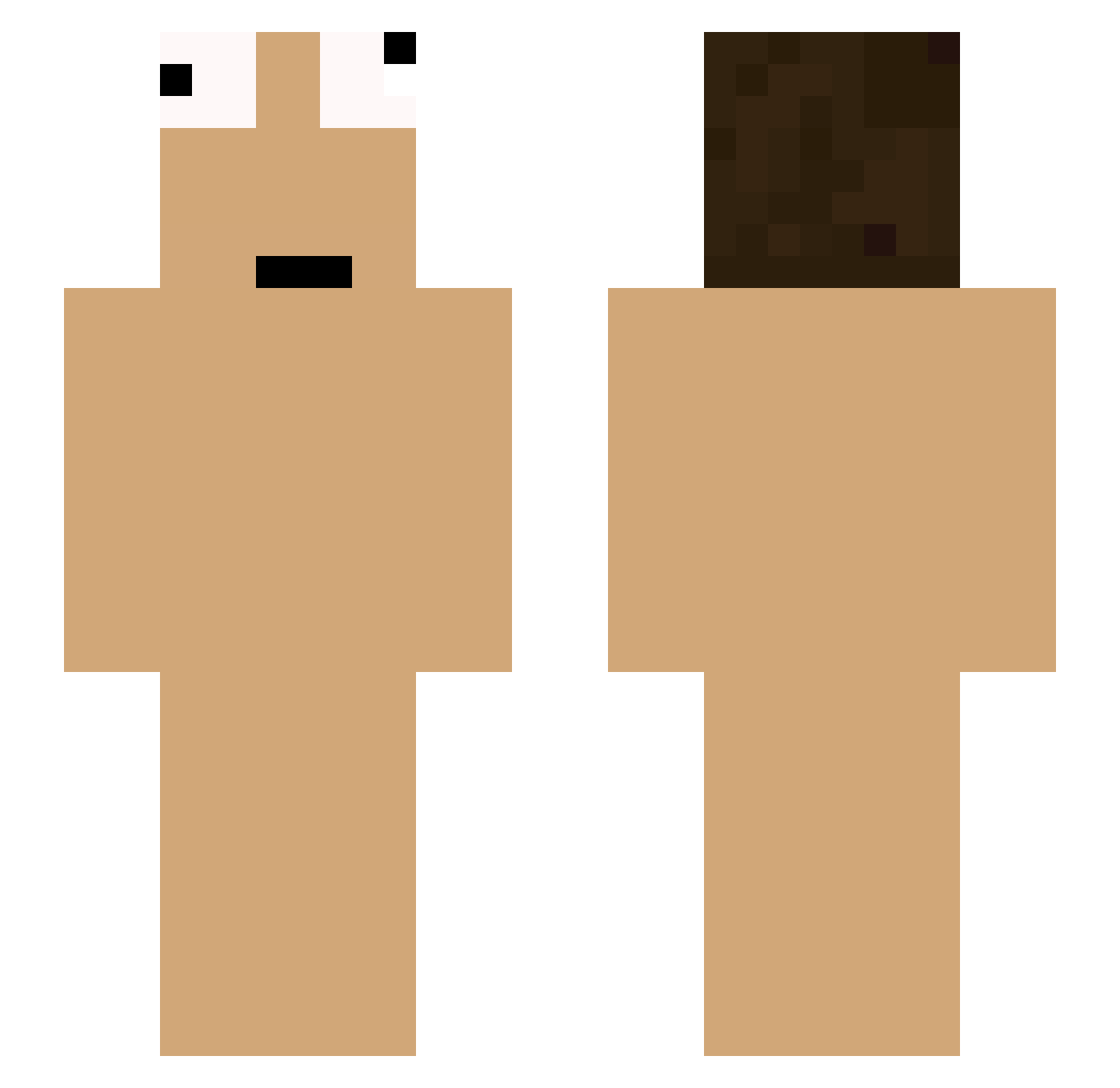 Stinkyshoes96 Minecraft skin, front and back view