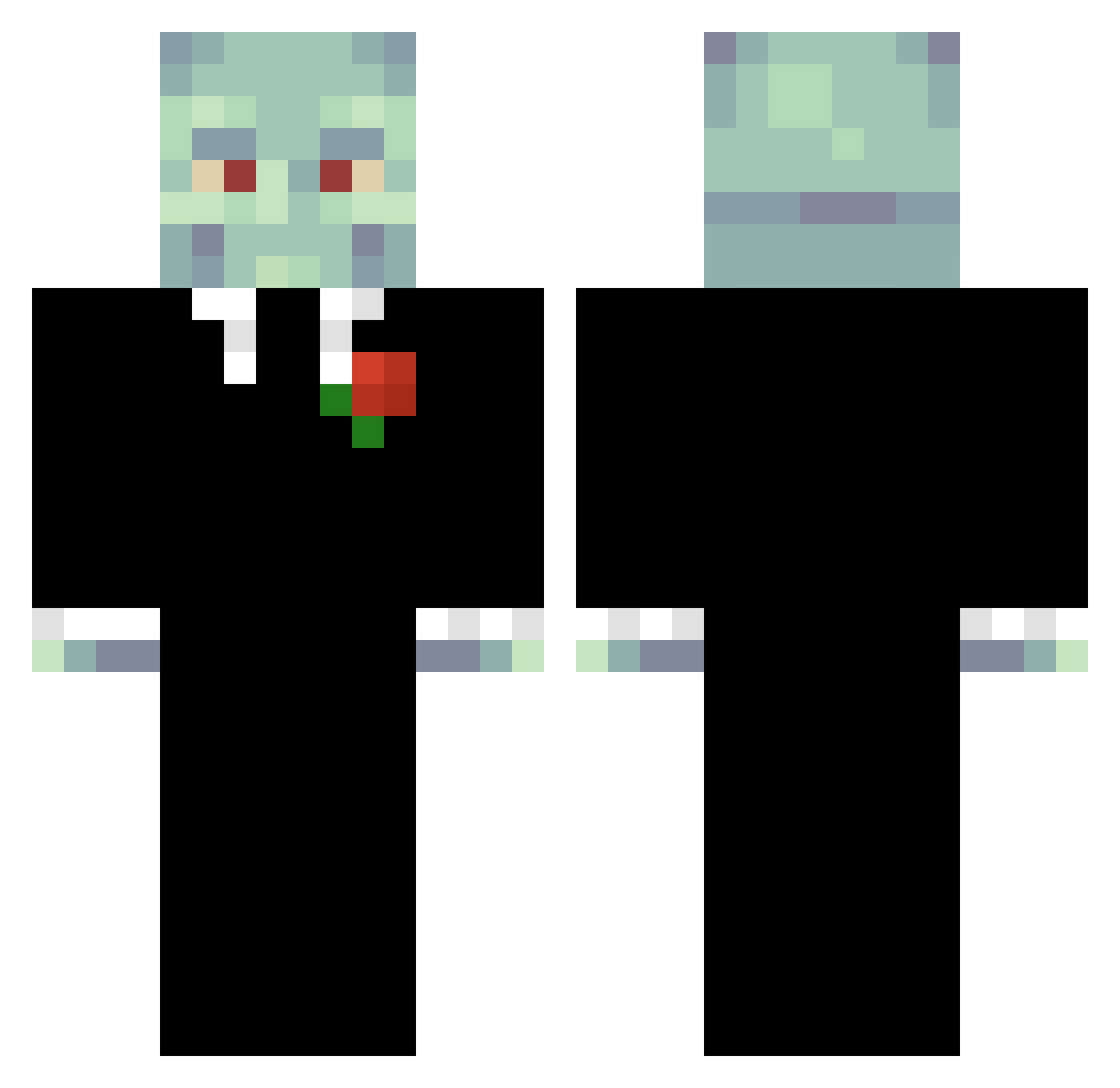 Zbowigniew Minecraft skin, front and back view
