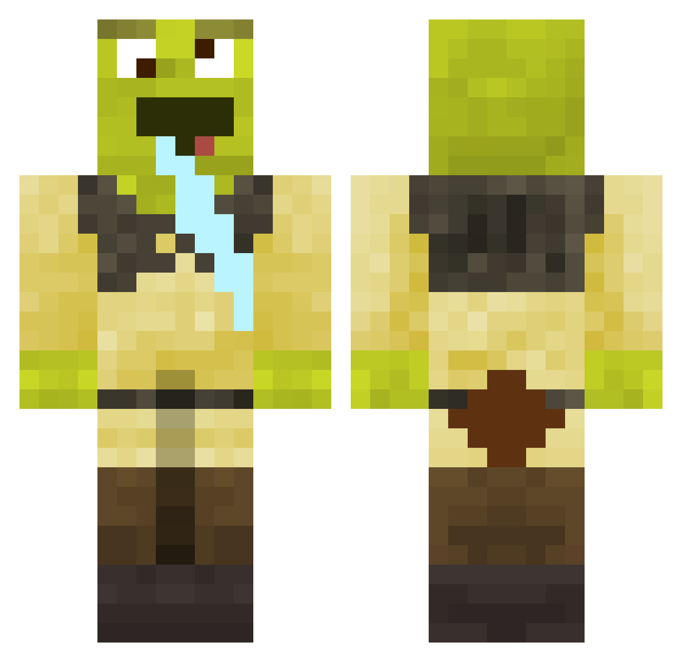 tuiper11 Minecraft skin, front and back view