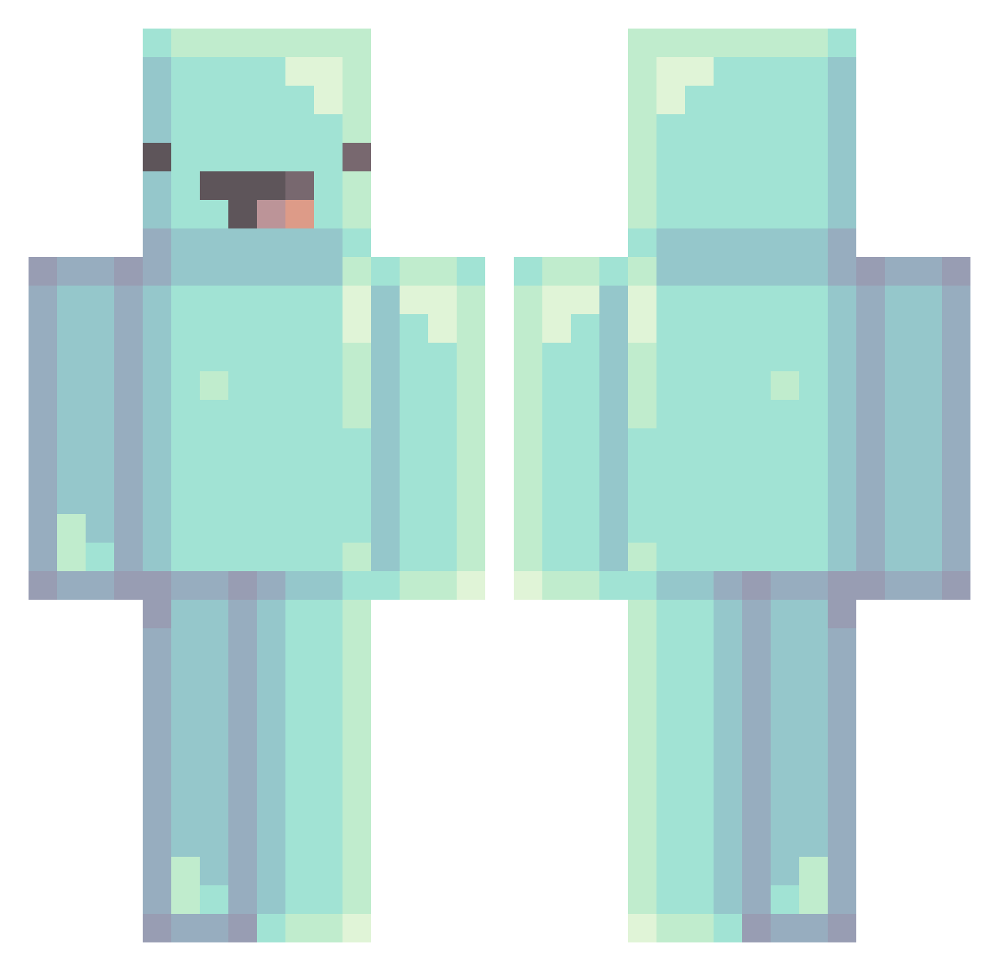 zDeluxing Minecraft skin, front and back view