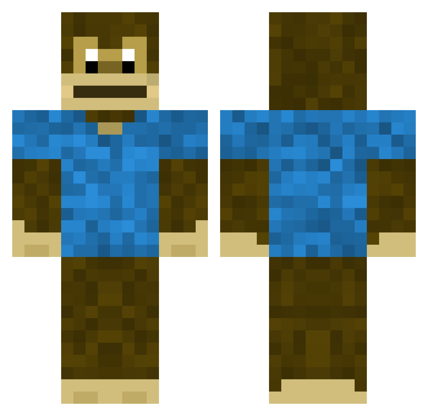 SonicBubble211 Minecraft skin, front and back view