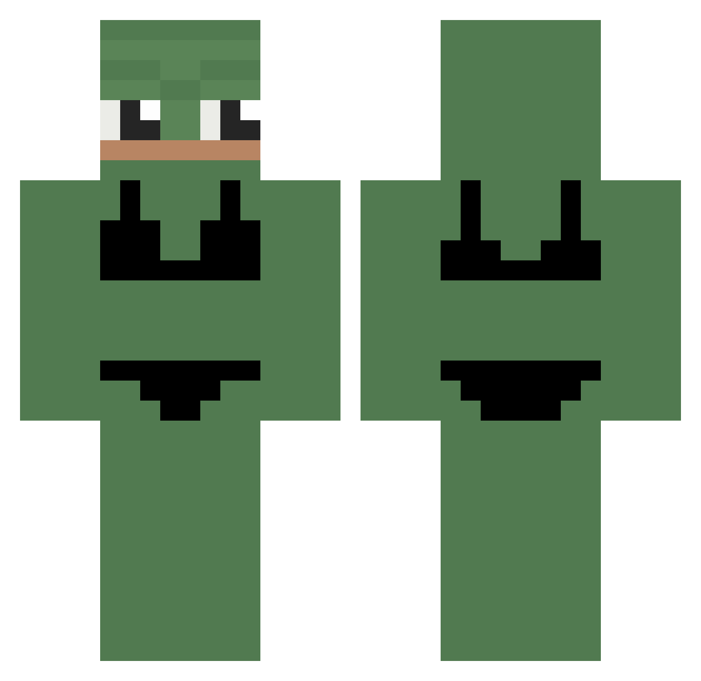 sonnion Minecraft skin, front and back view