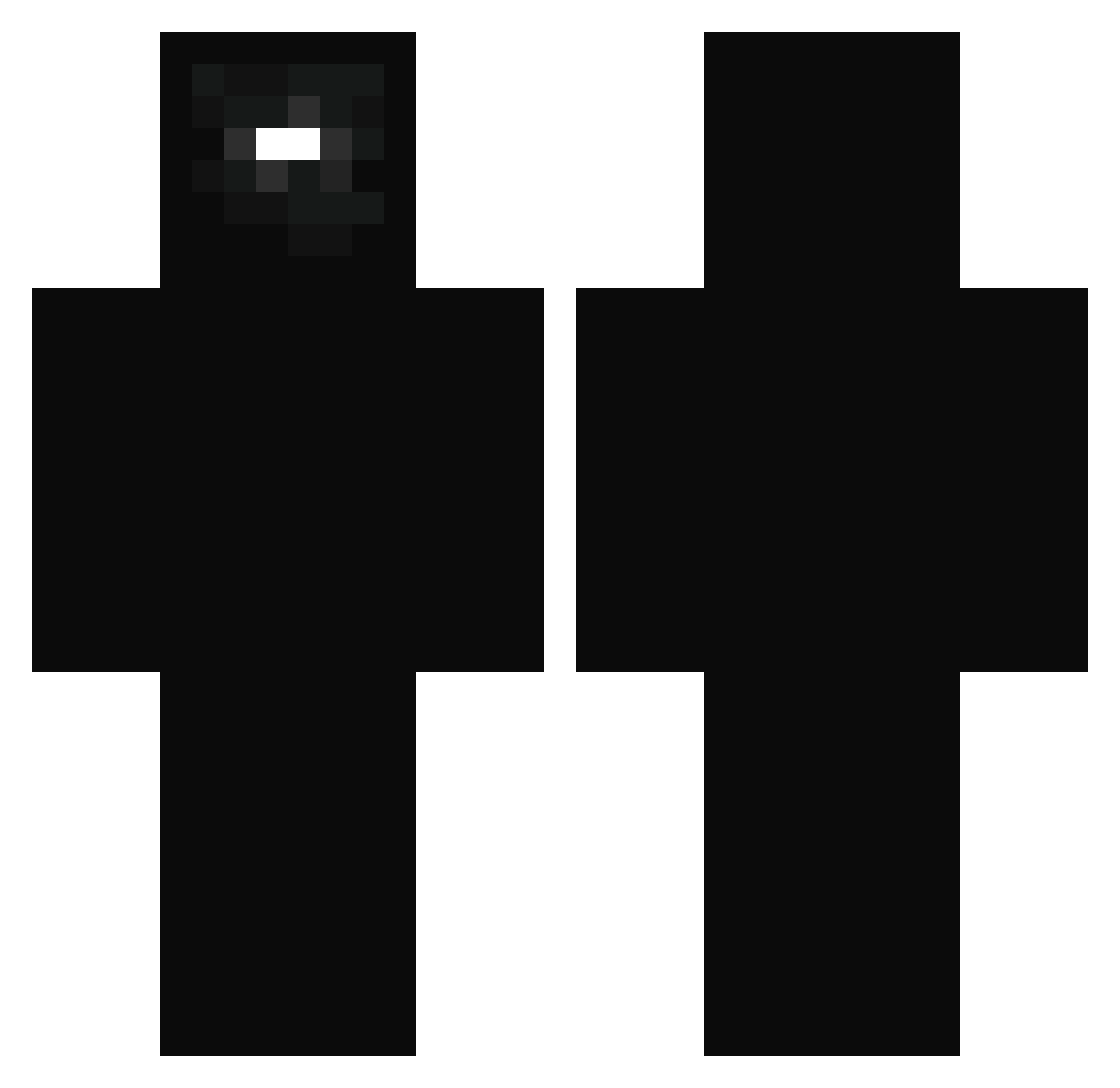 Proreader Minecraft skin, front and back view