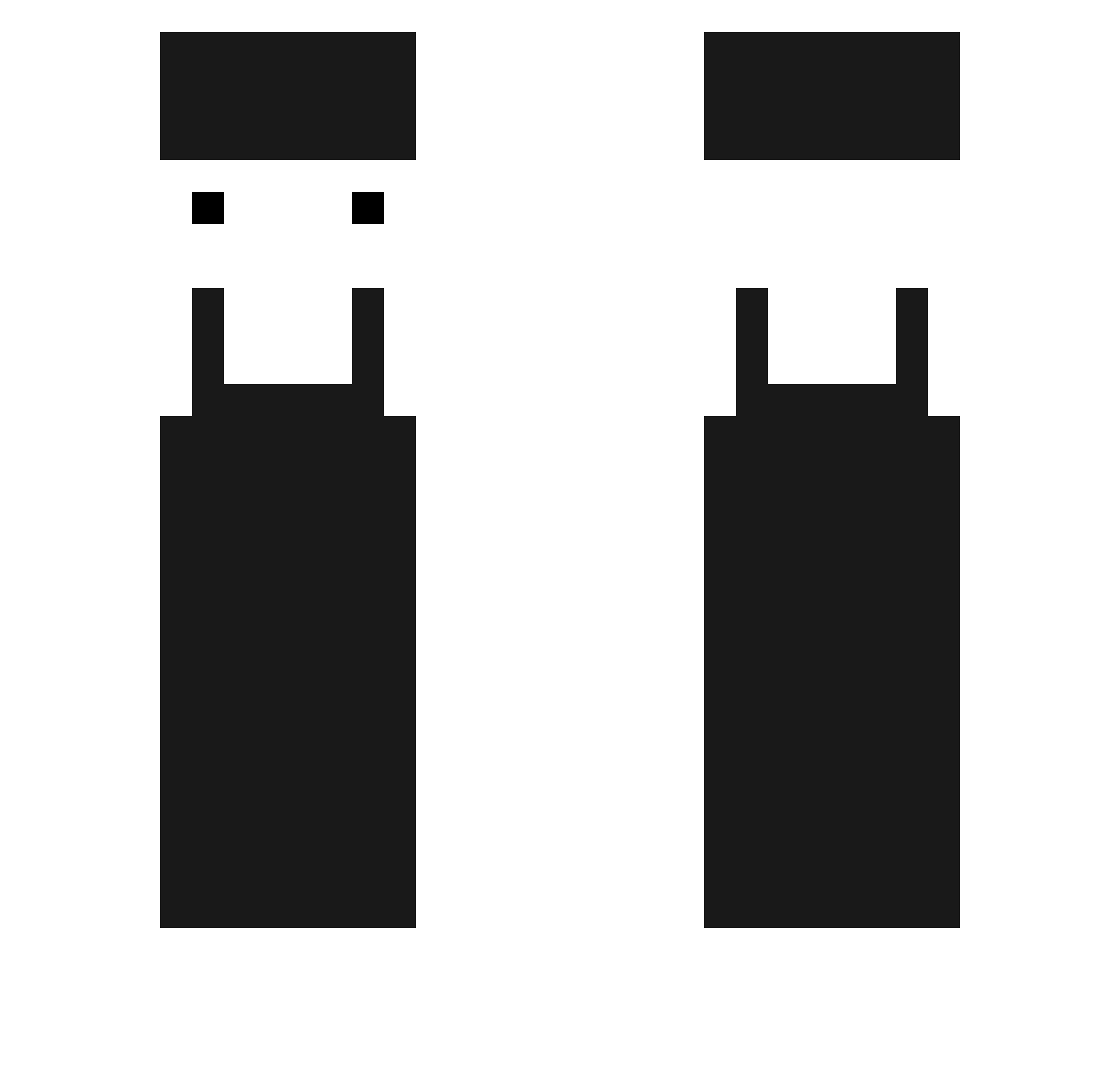 Verpeilter Minecraft skin, front and back view